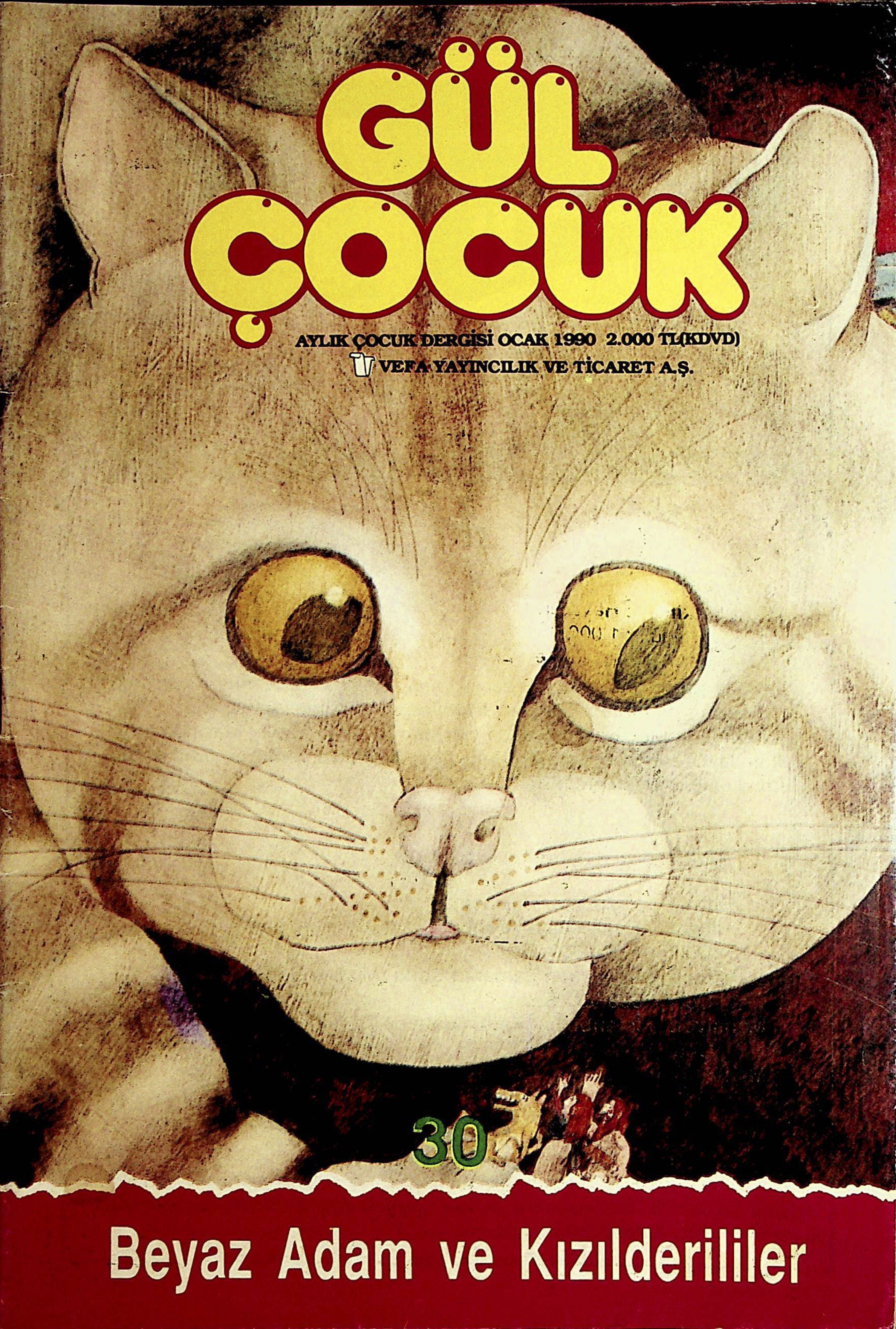 30. Sayı Kapağı