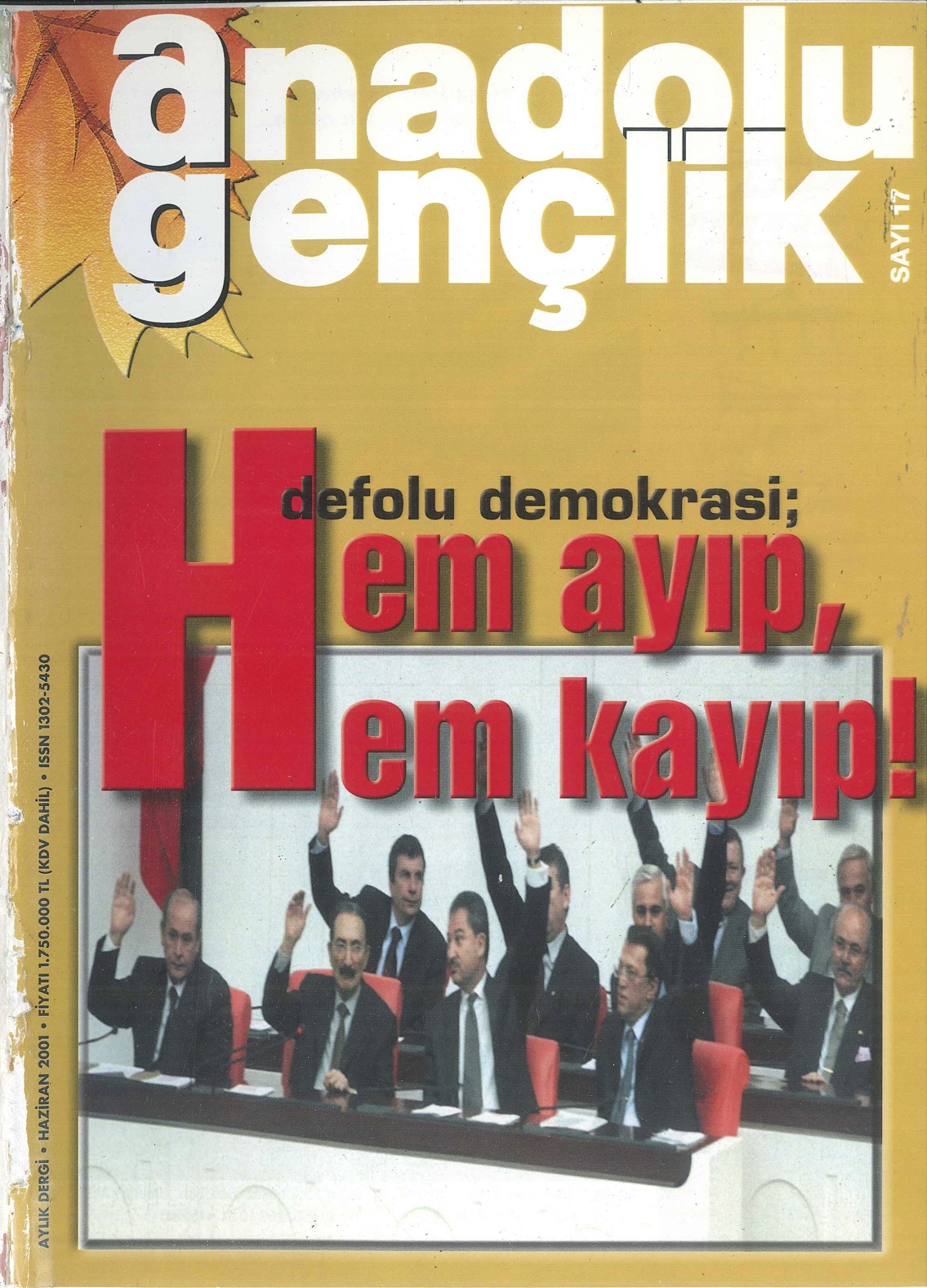 17. Sayı Kapağı