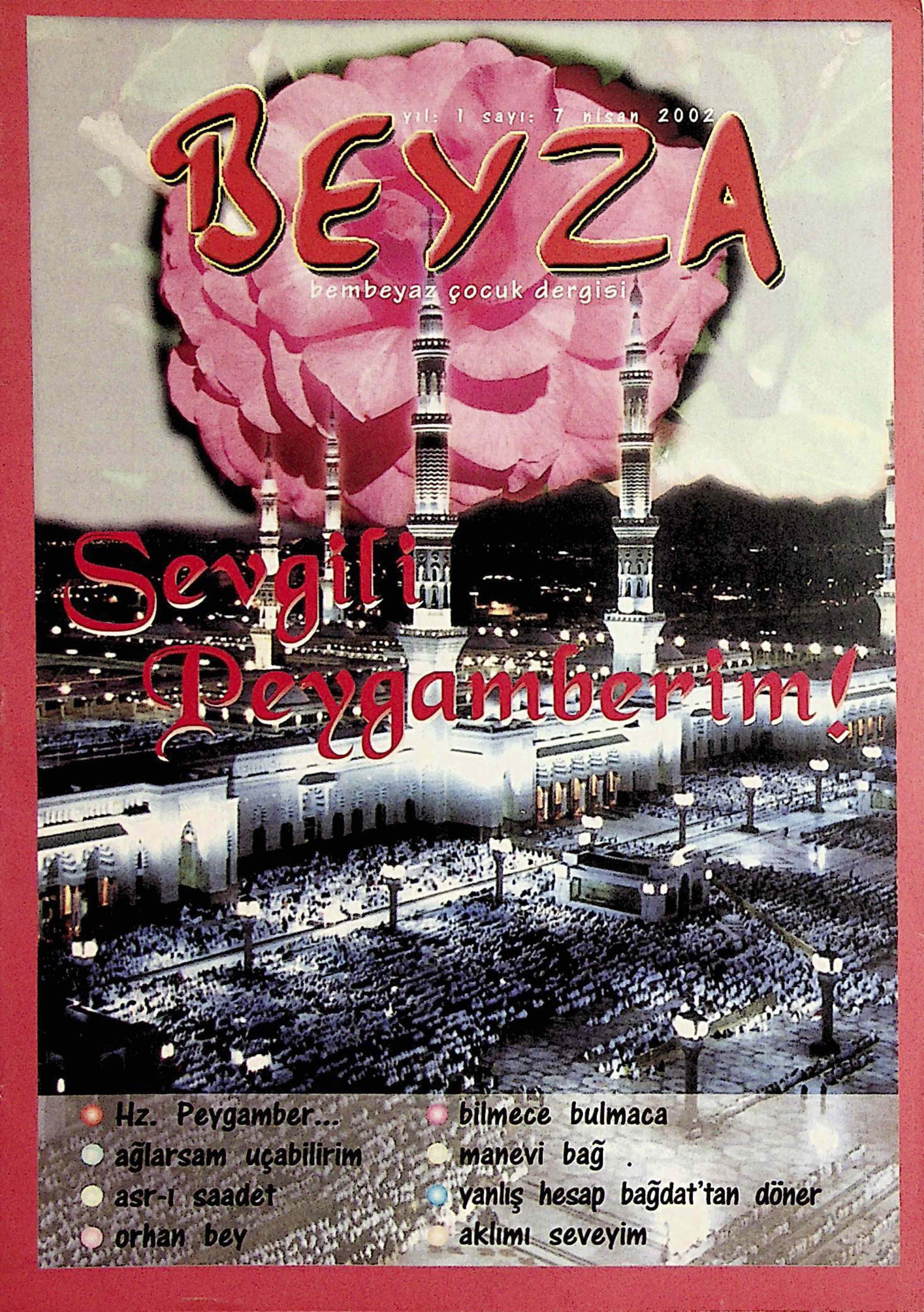 7. Sayı Kapağı