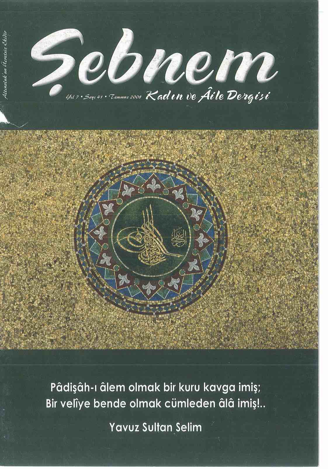 41. Sayı Kapağı