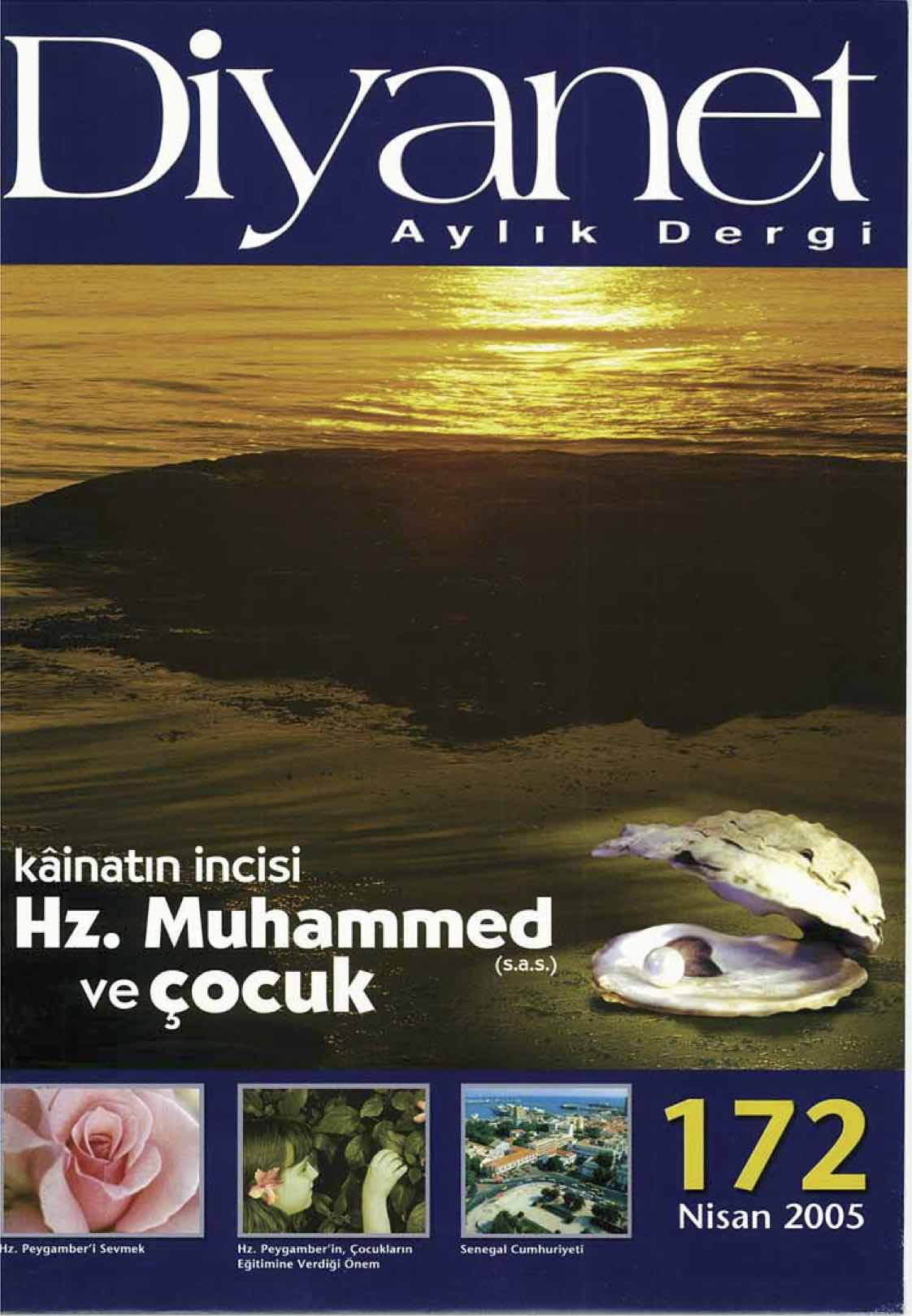 172. Sayı Kapağı