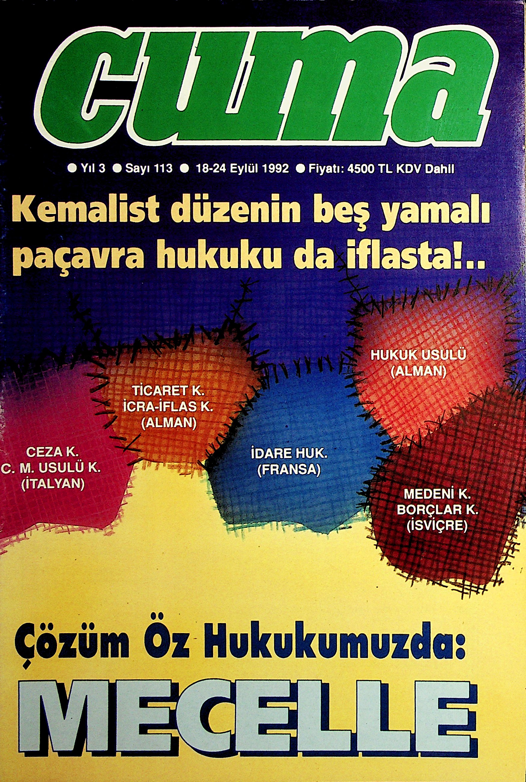 1. Cilt 113. Sayı Kapağı