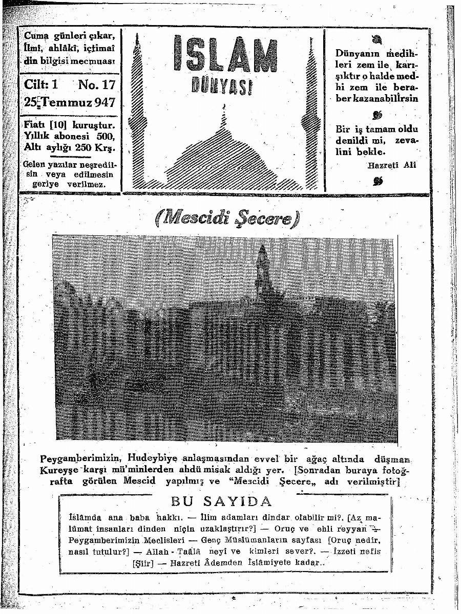 1. Cilt 17. Sayı Kapağı