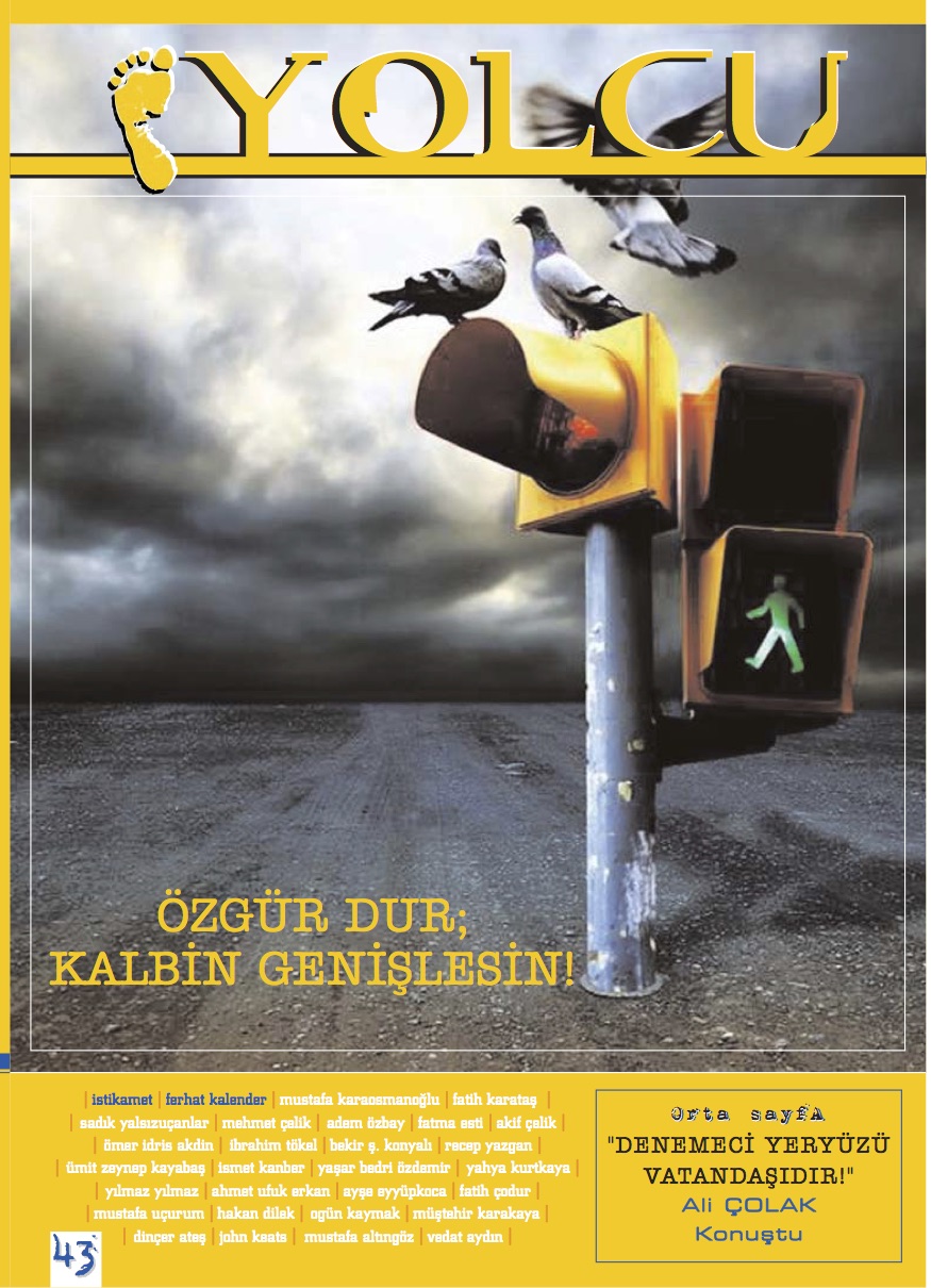 43. Sayı Kapağı