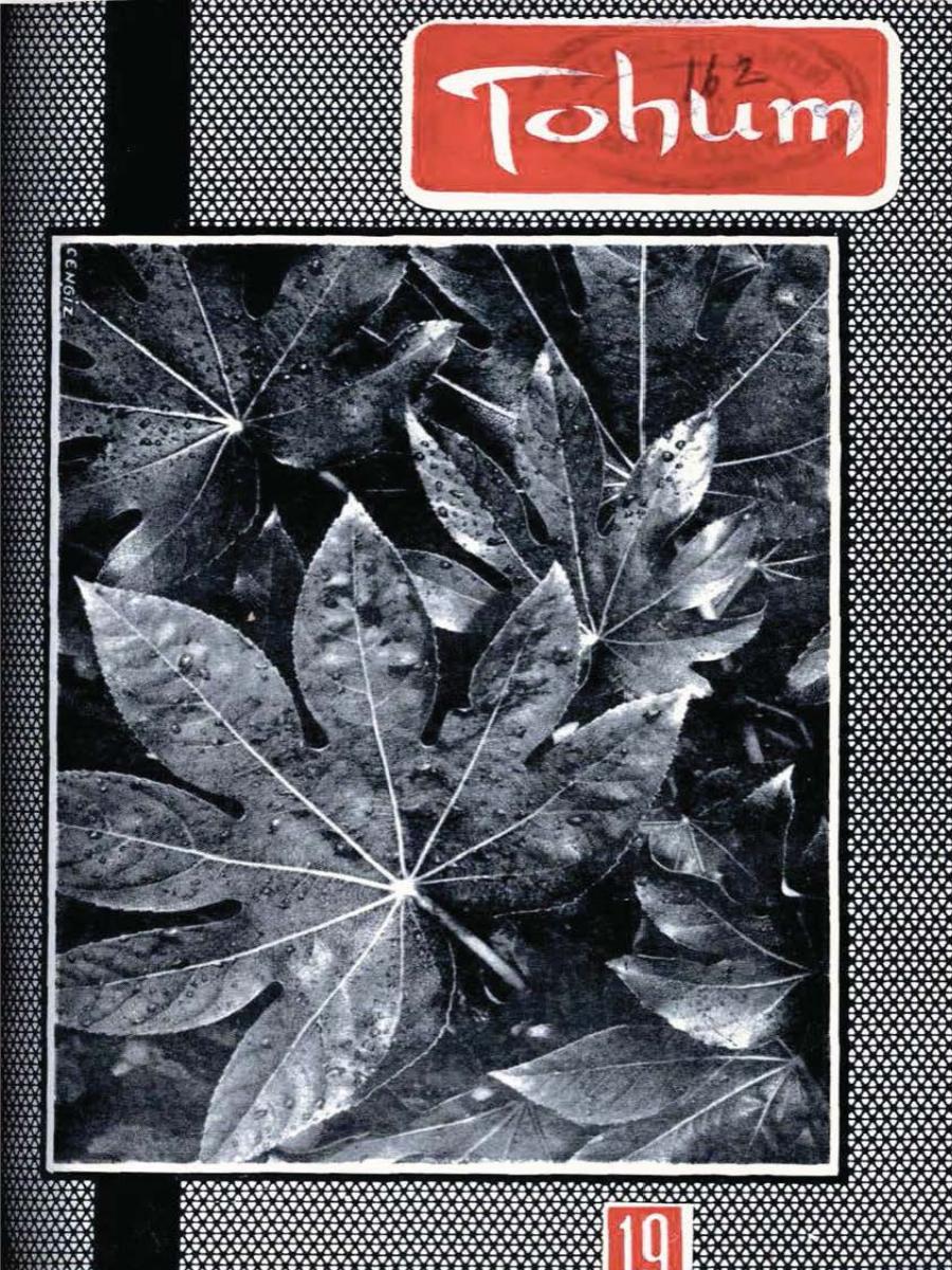 2. Cilt 19. Sayı Kapağı