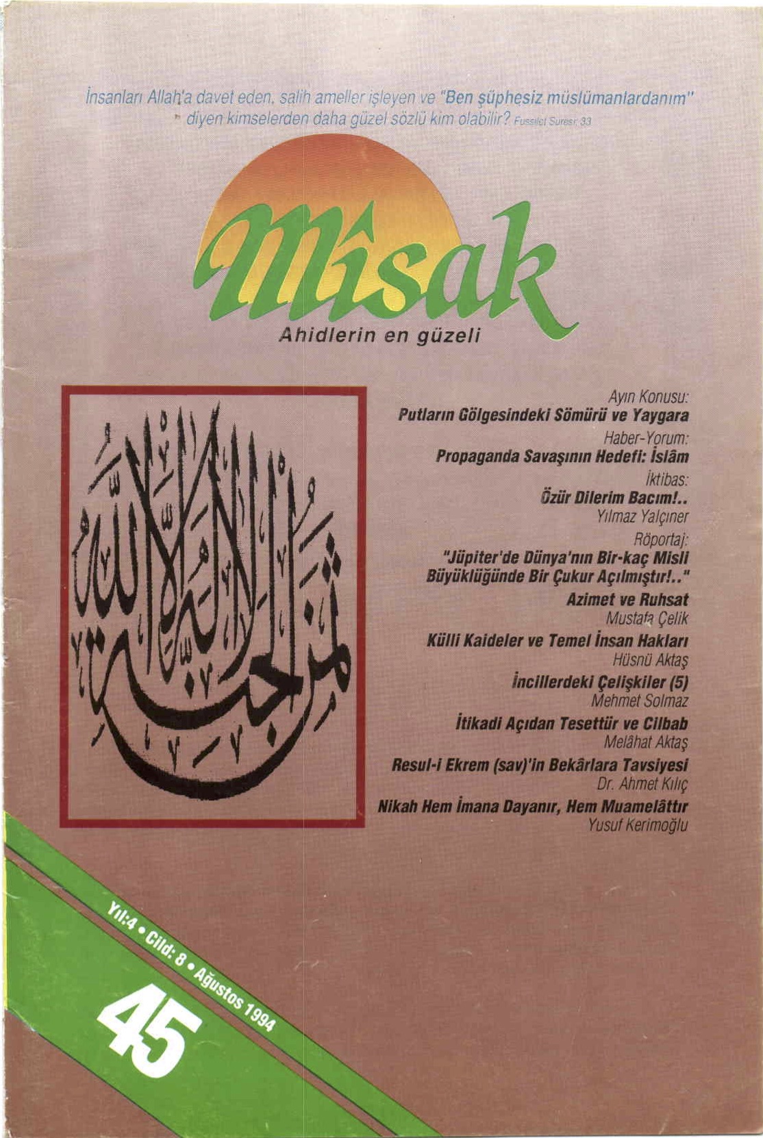 8. Cilt 45. Sayı Kapağı