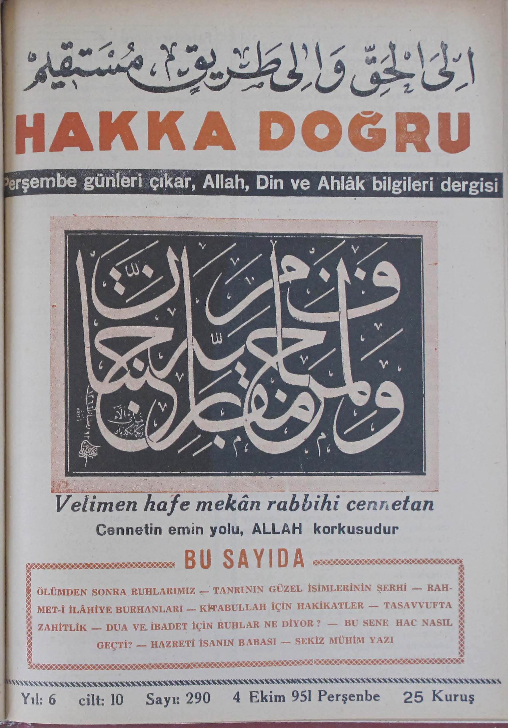 10. Cilt 290. Sayı Kapağı