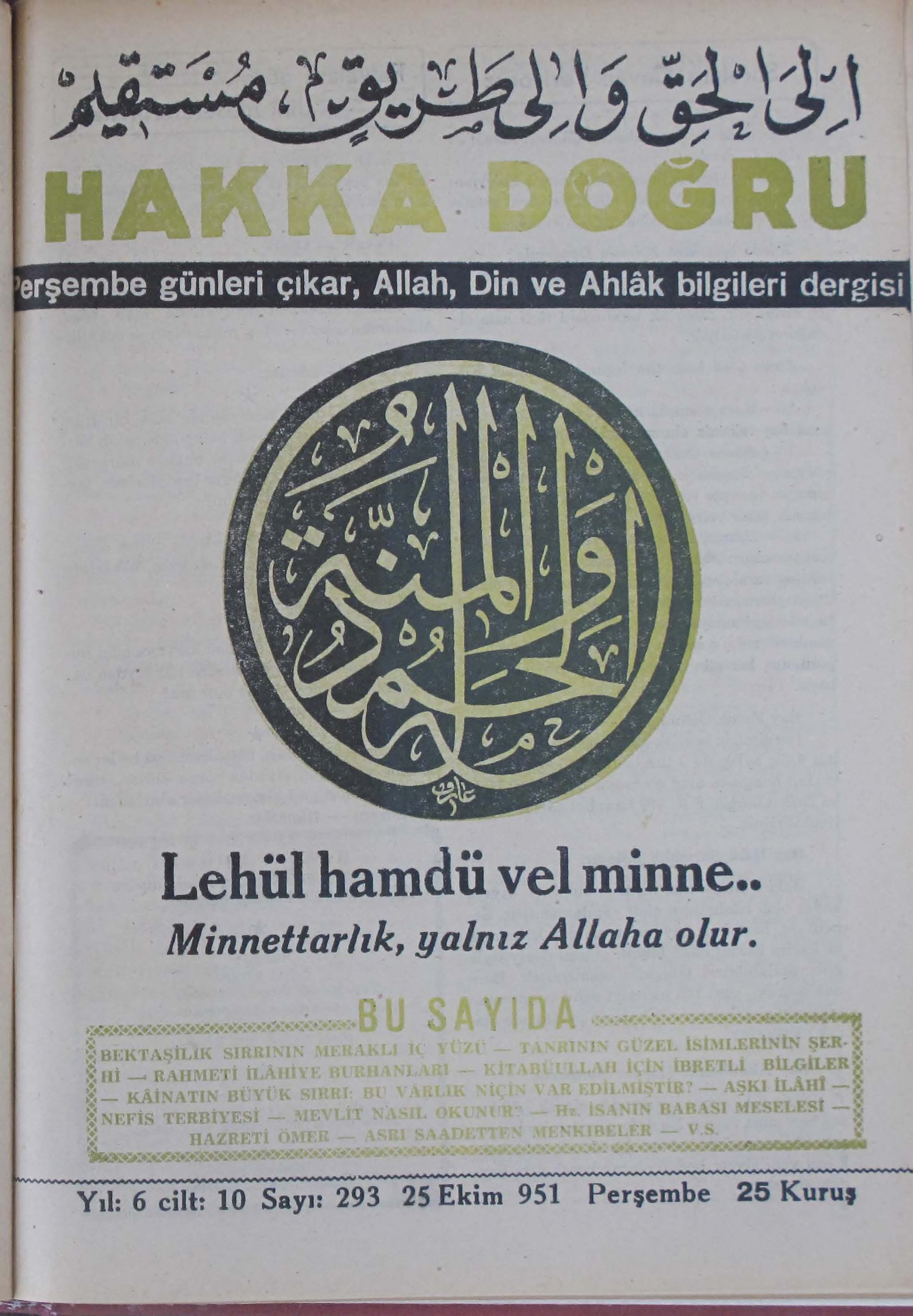 10. Cilt 293. Sayı Kapağı