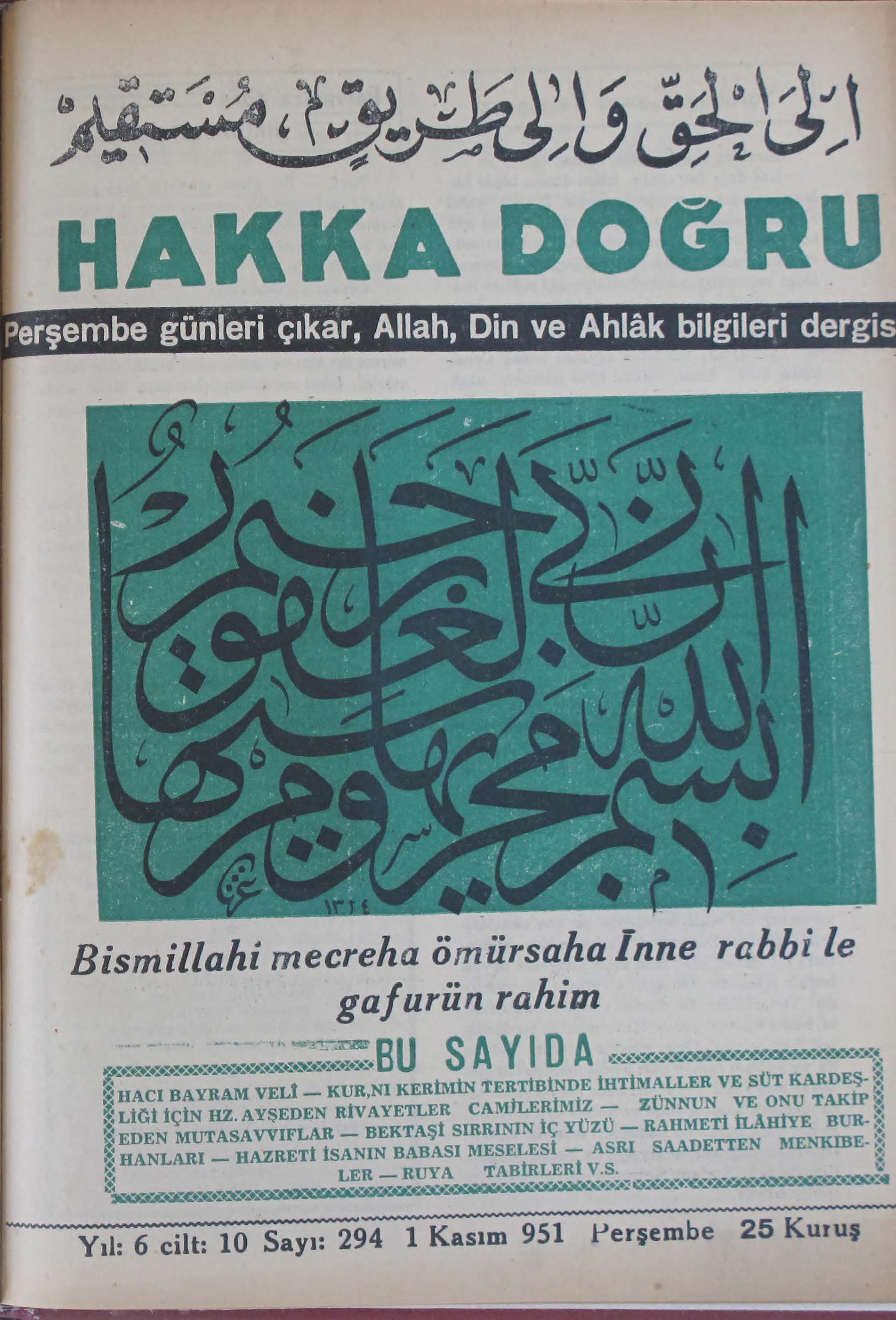 10. Cilt 294. Sayı Kapağı