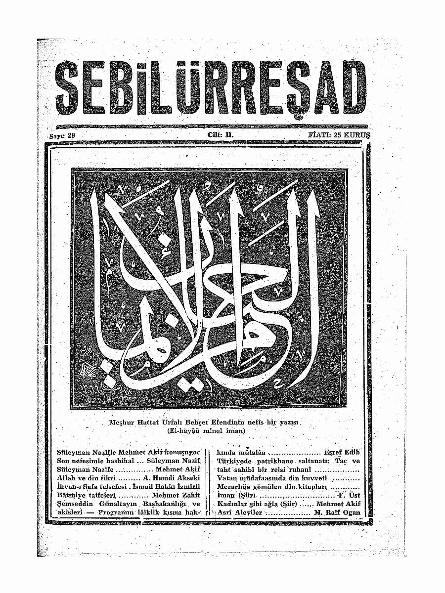 2. Cilt 29. Sayı Kapağı