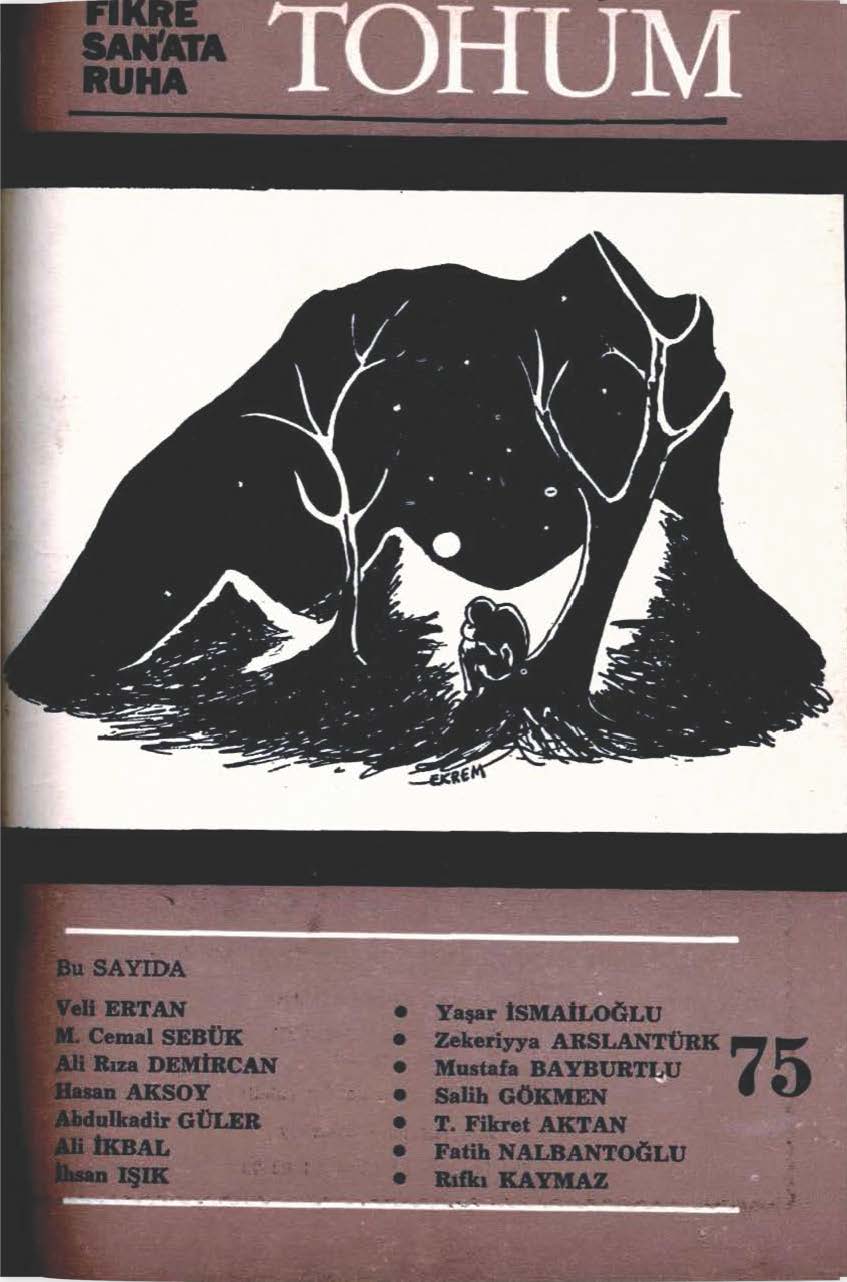 7. Cilt 75. Sayı Kapağı