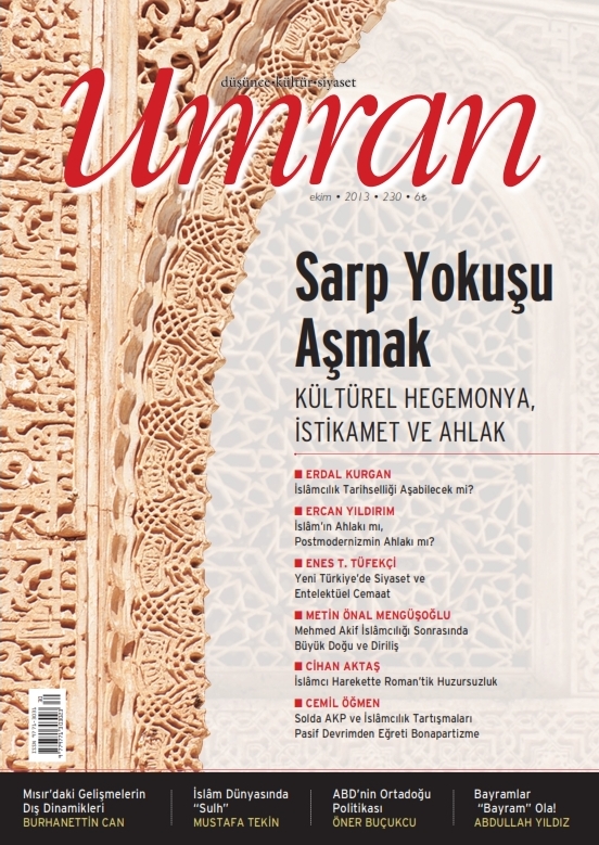 230. Sayı Kapağı