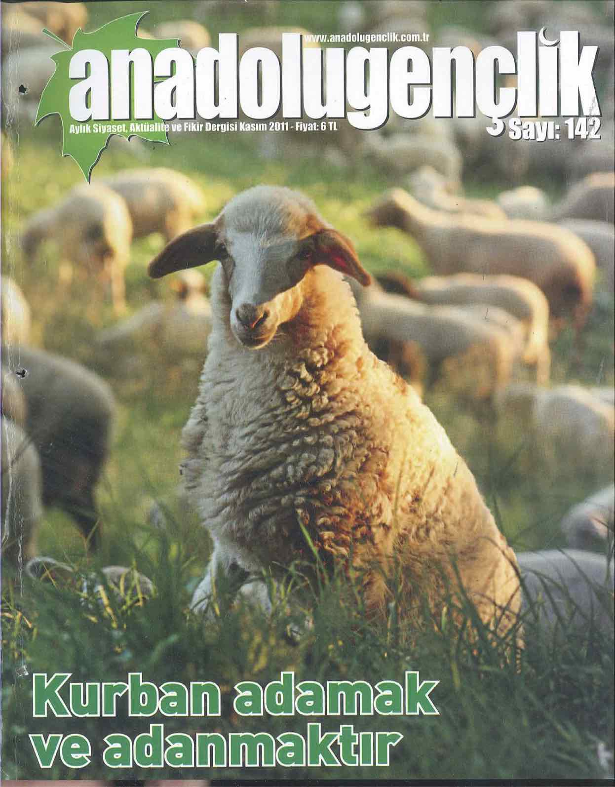 142. Sayı Kapağı