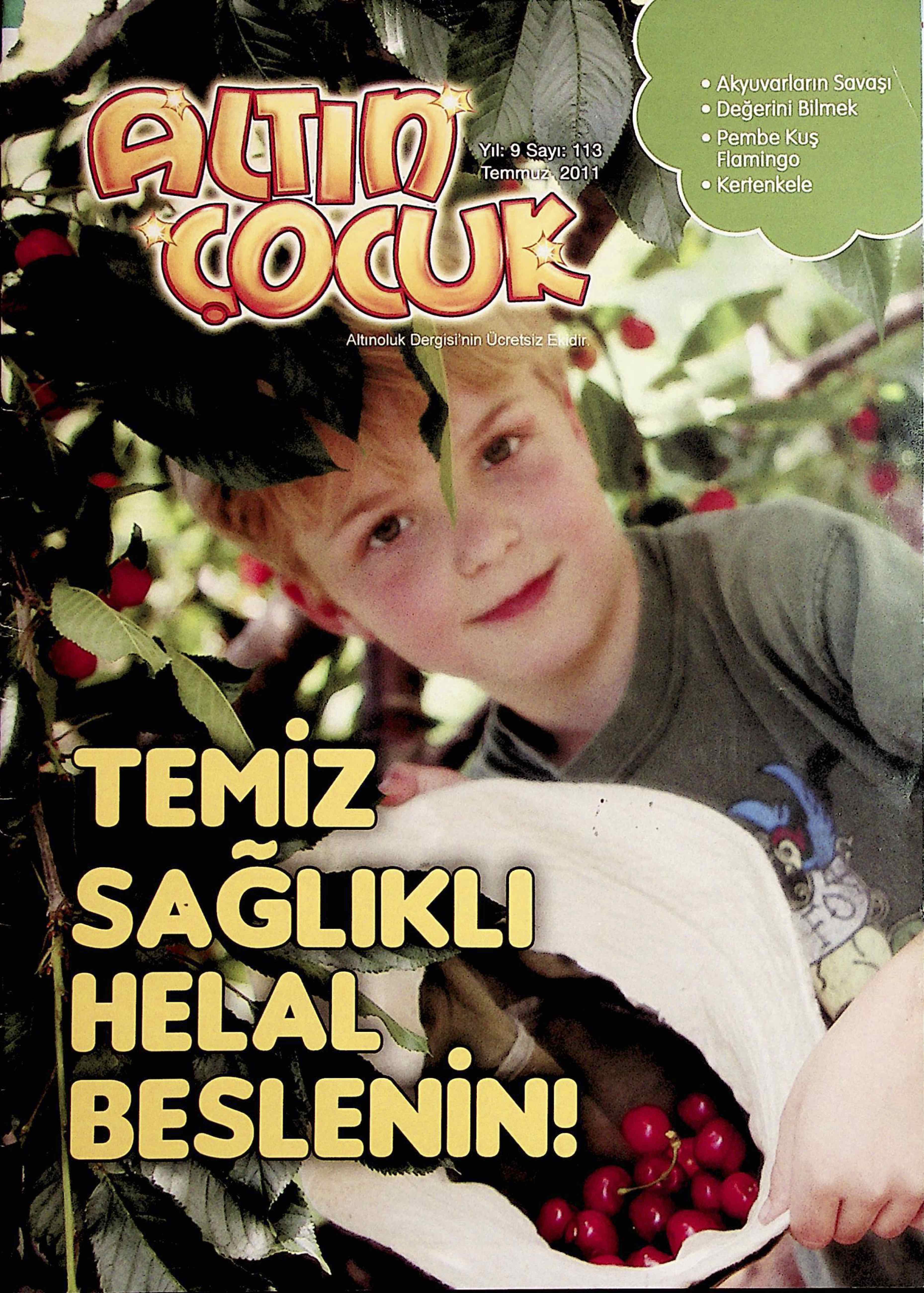 113. Sayı Kapağı
