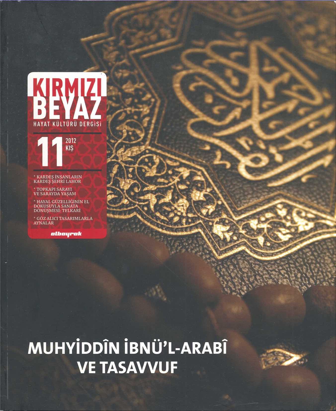 11. Sayı Kapağı