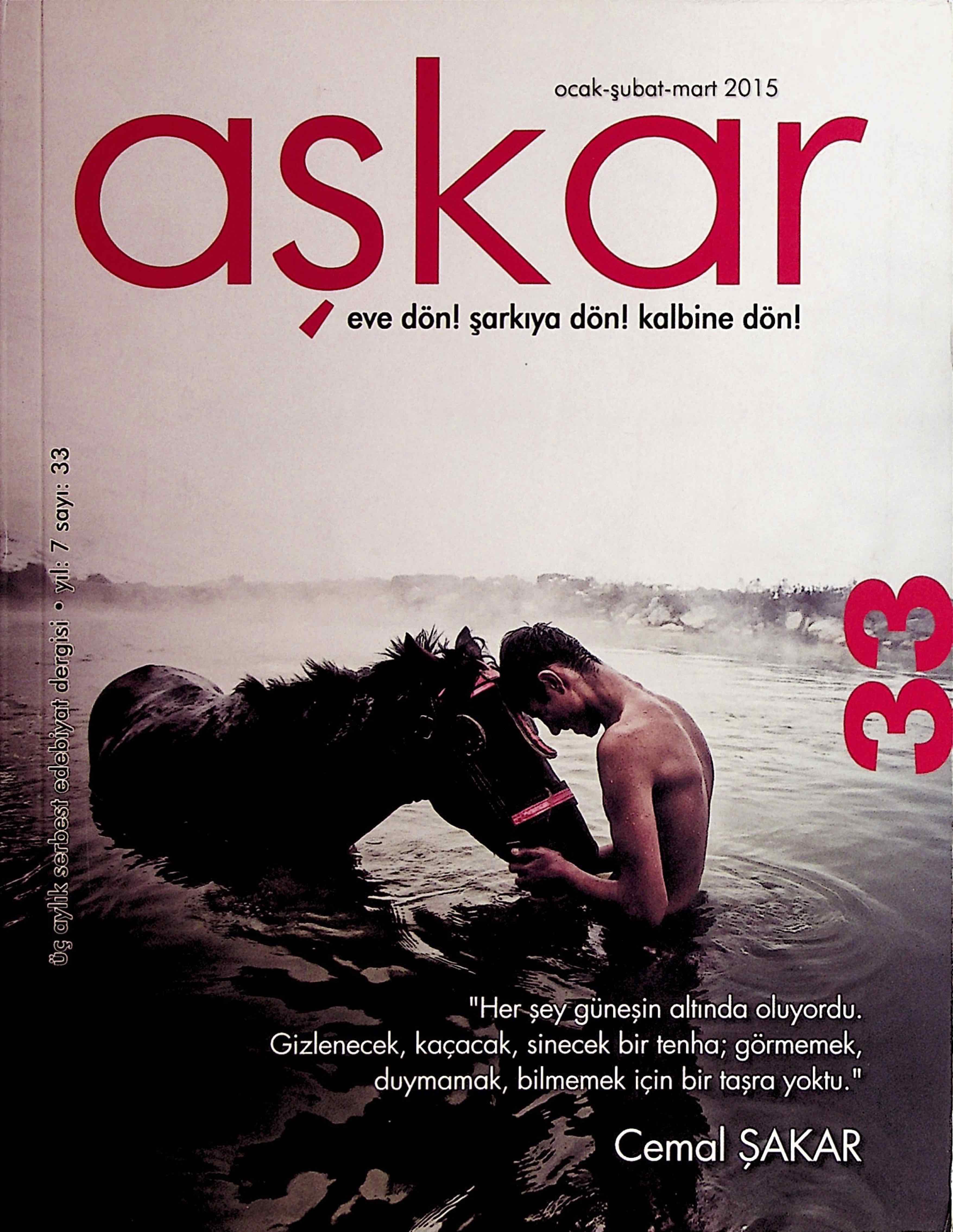33. Sayı Kapağı