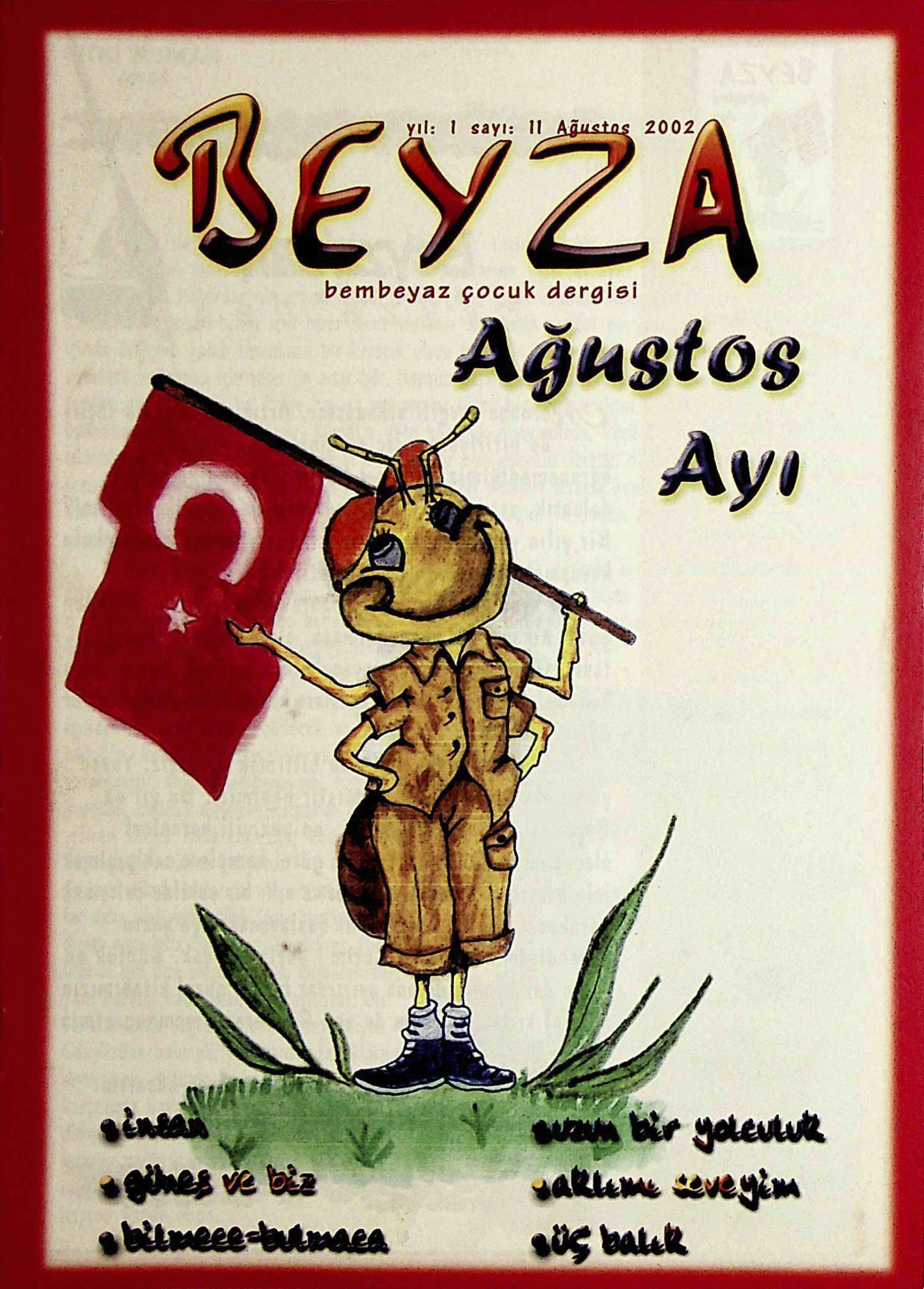 11. Sayı Kapağı