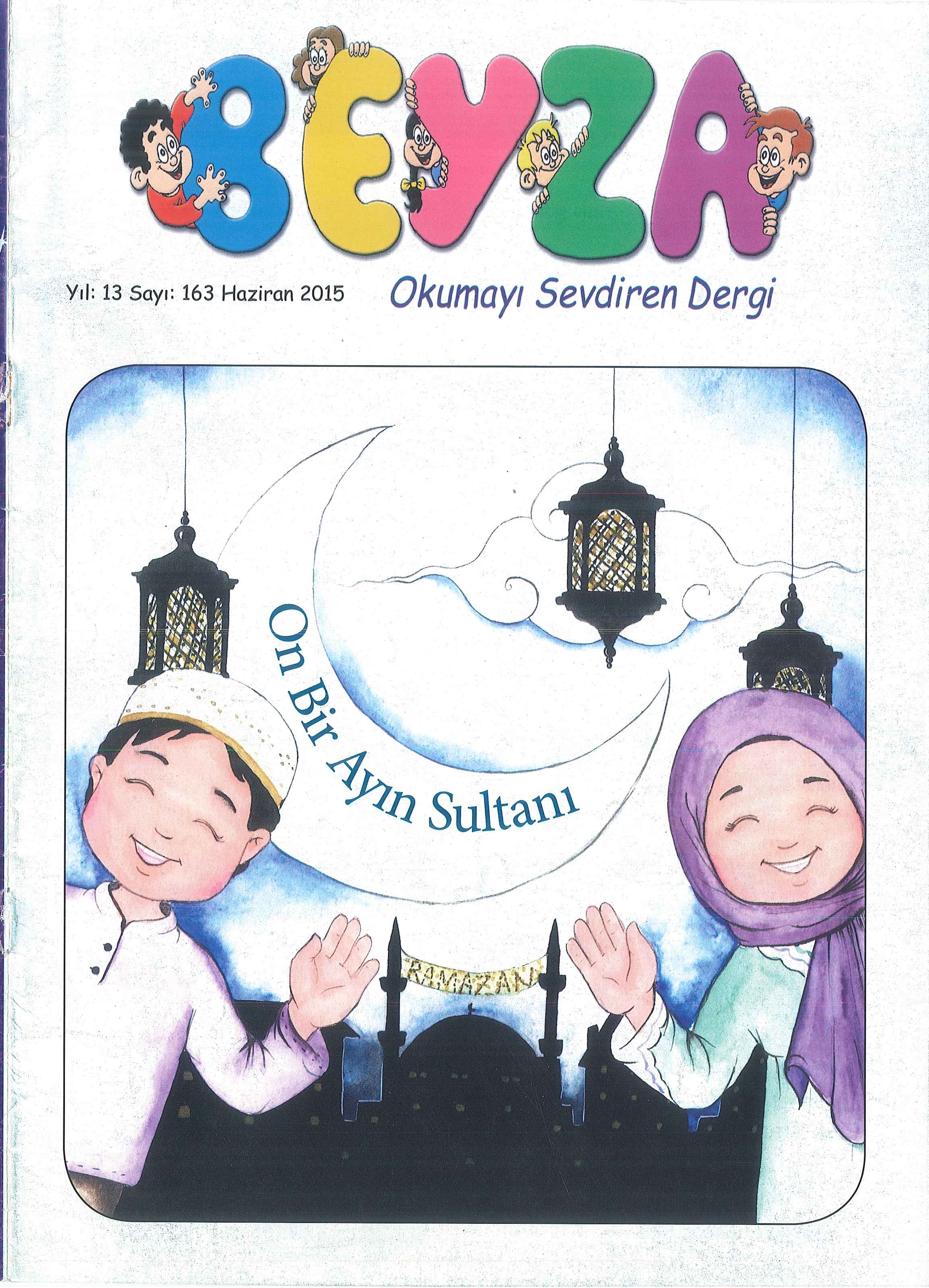 163. Sayı Kapağı