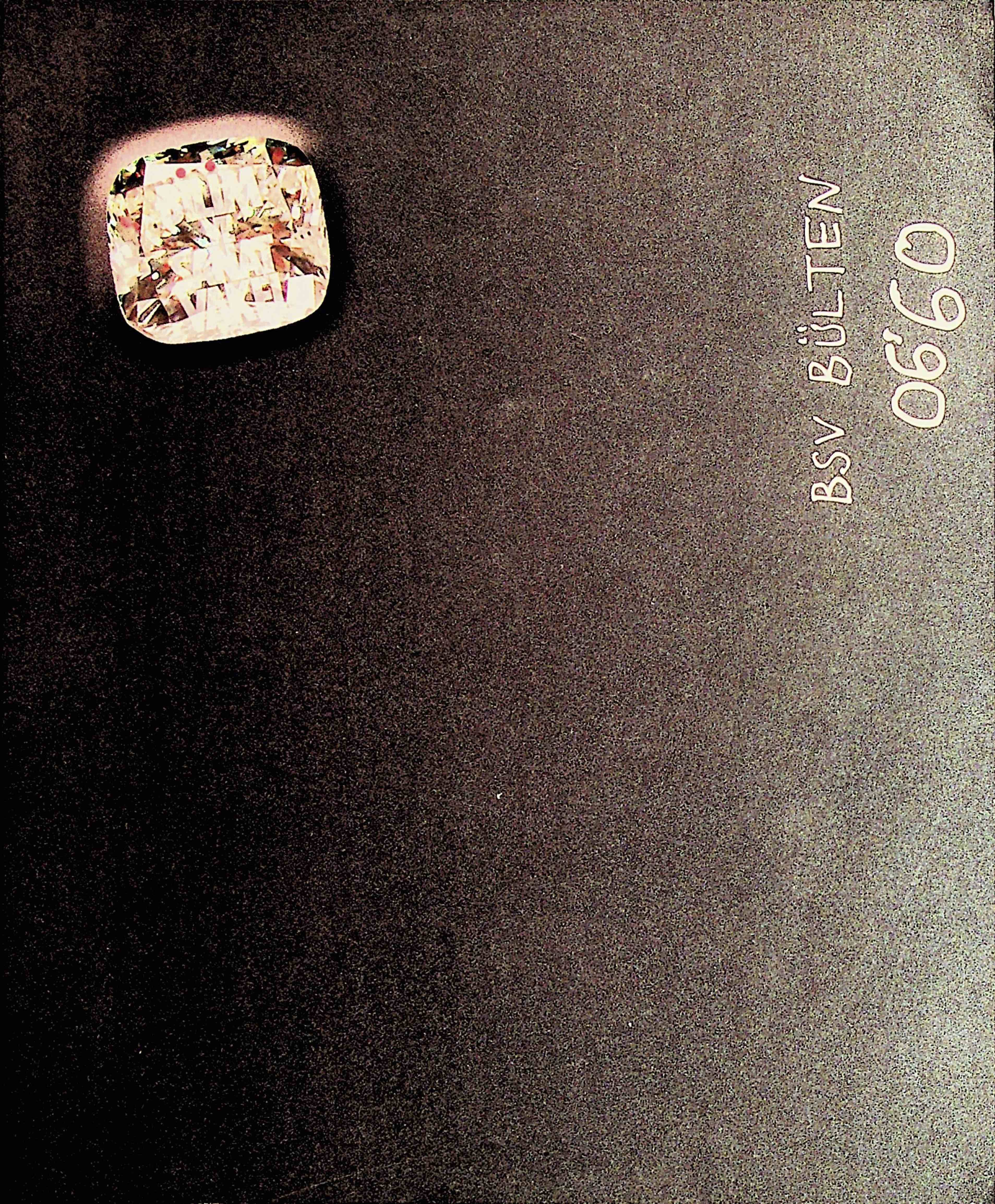 60. Sayı Kapağı