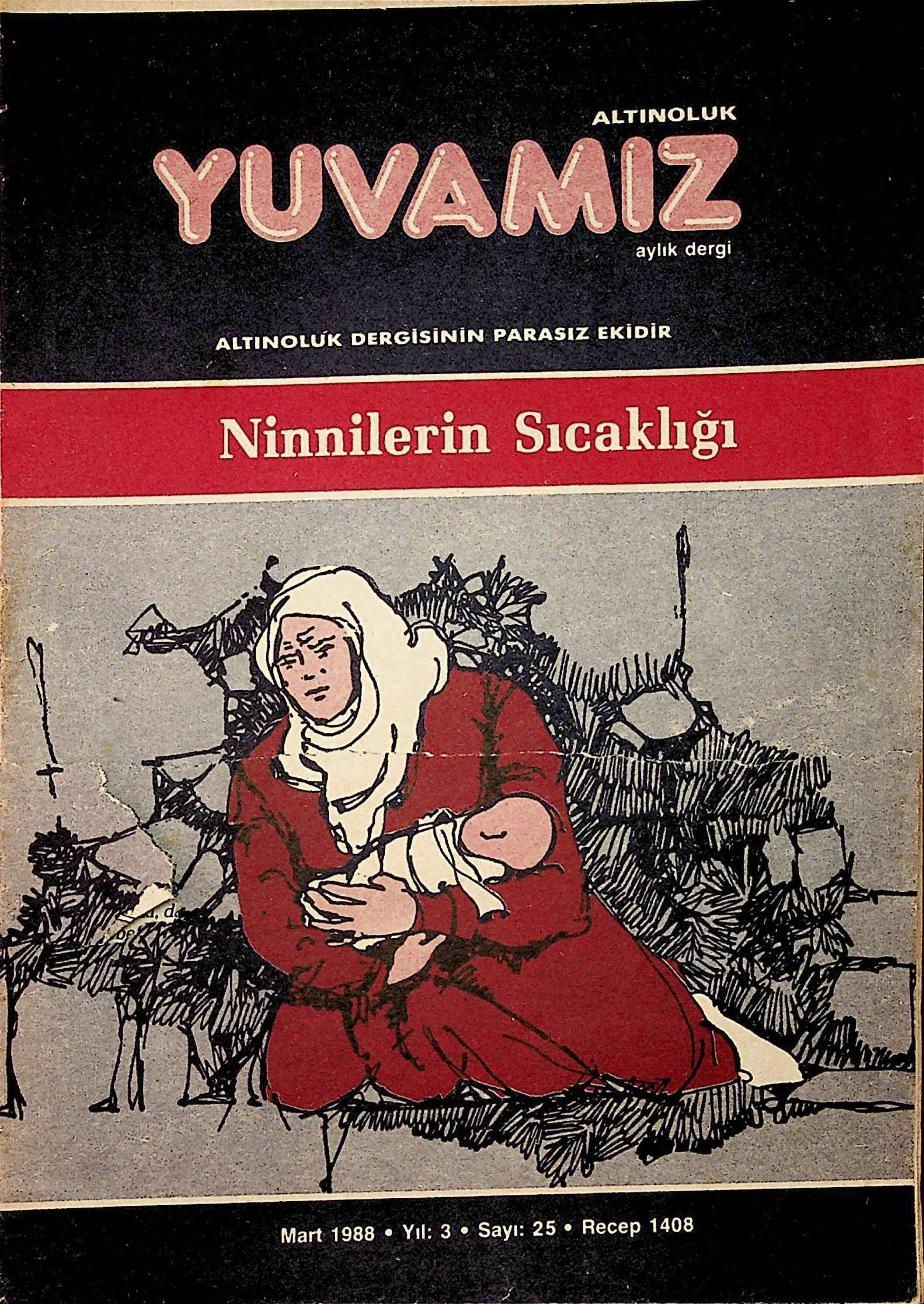 25. Sayı Kapağı