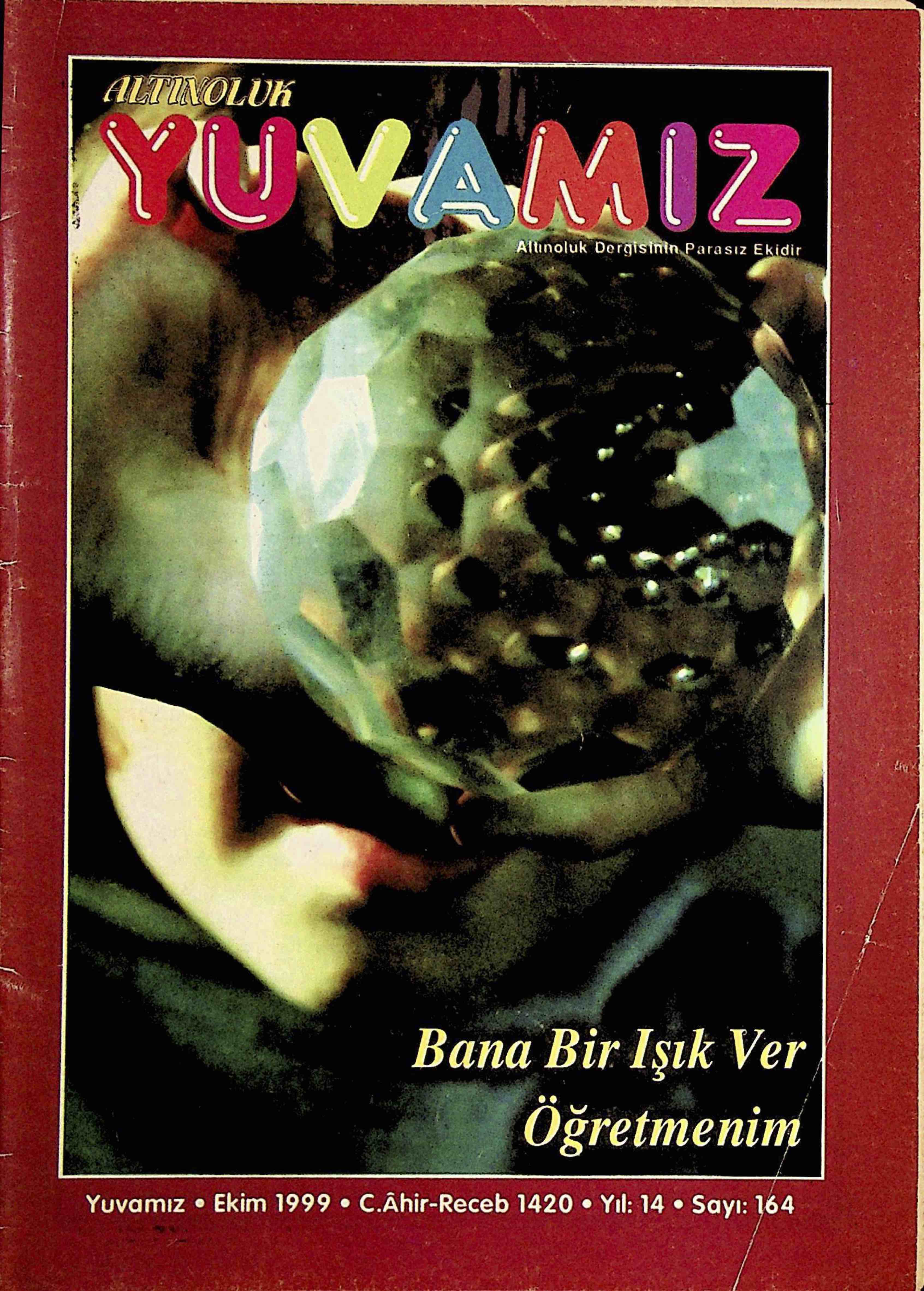 164. Sayı Kapağı