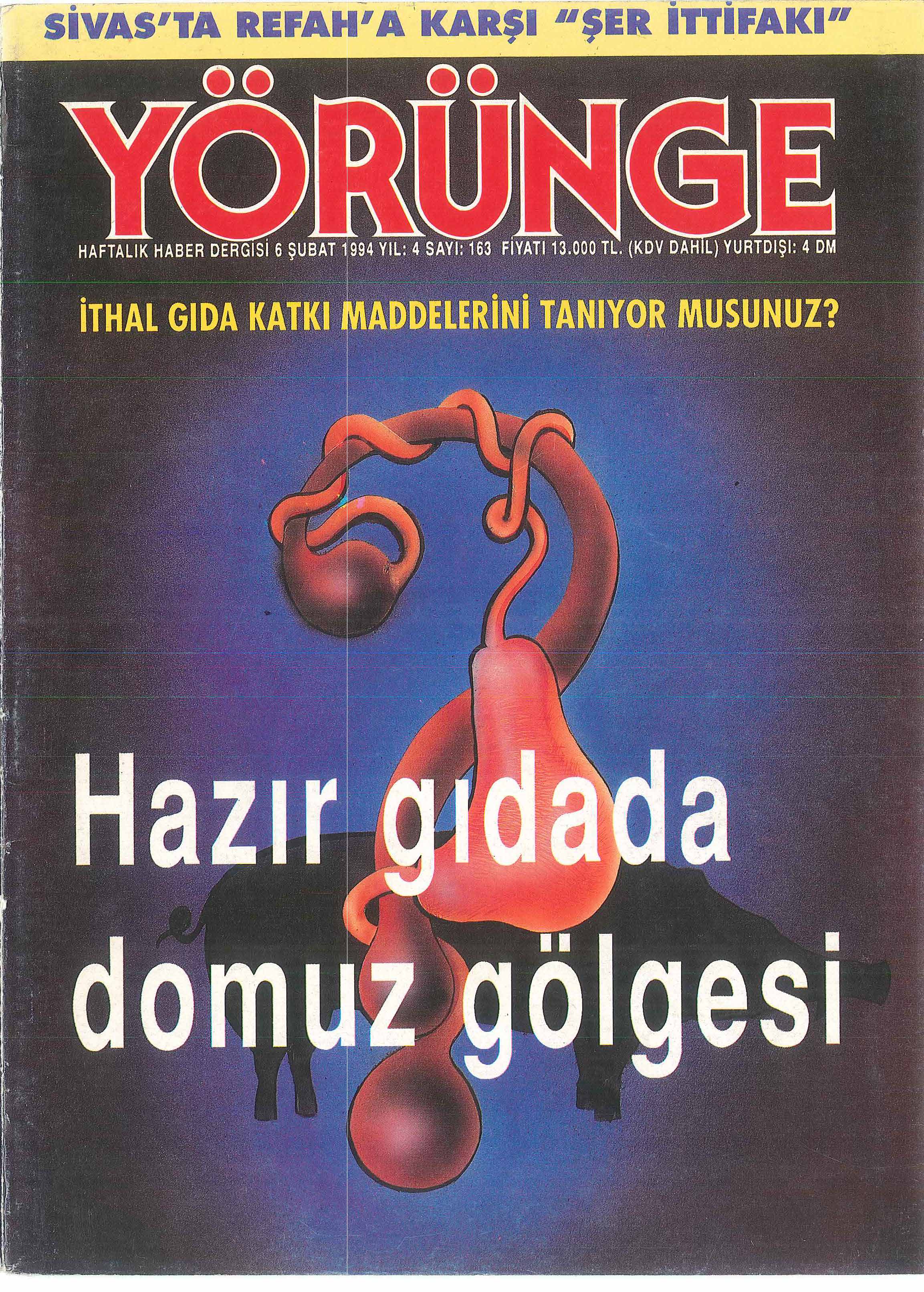 163. Sayı Kapağı