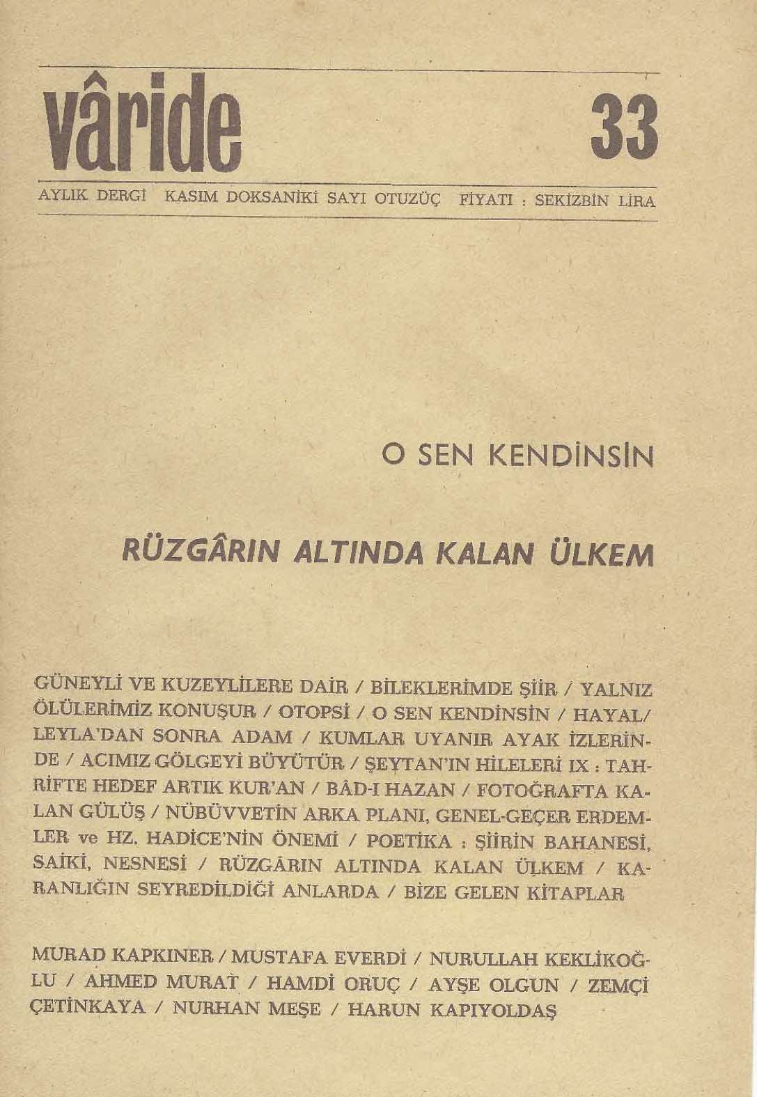 33. Sayı Kapağı