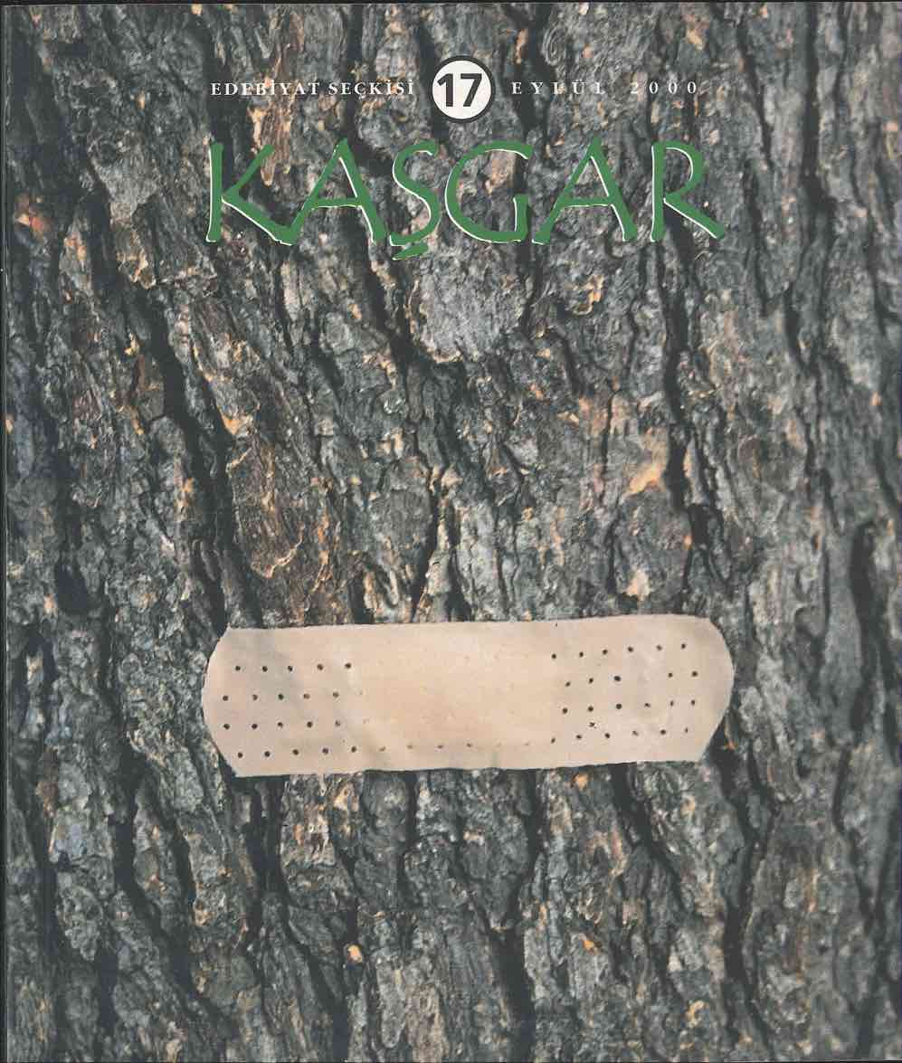 17. Sayı Kapağı