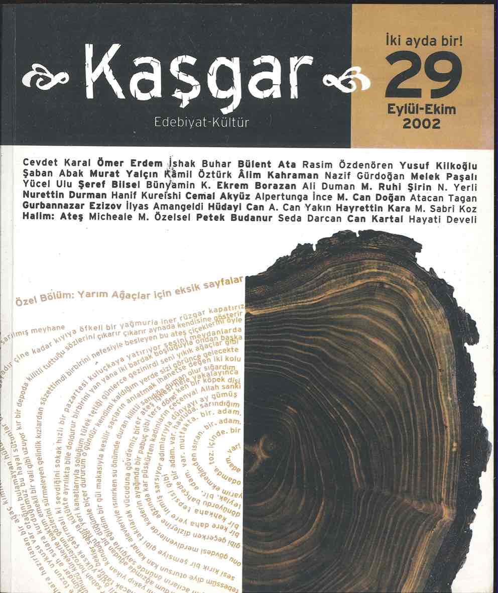 29. Sayı Kapağı