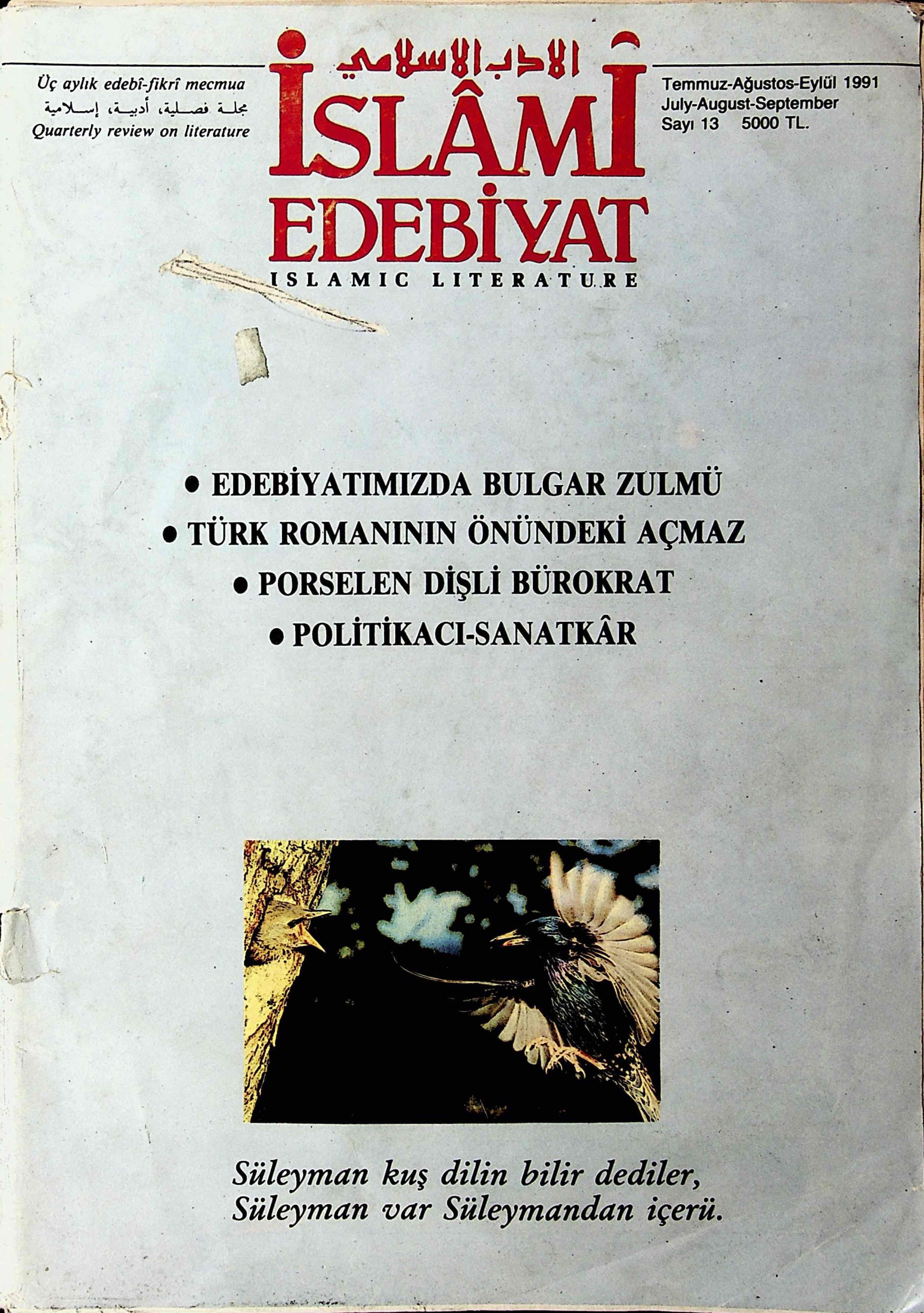 3. Cilt 13. Sayı Kapağı