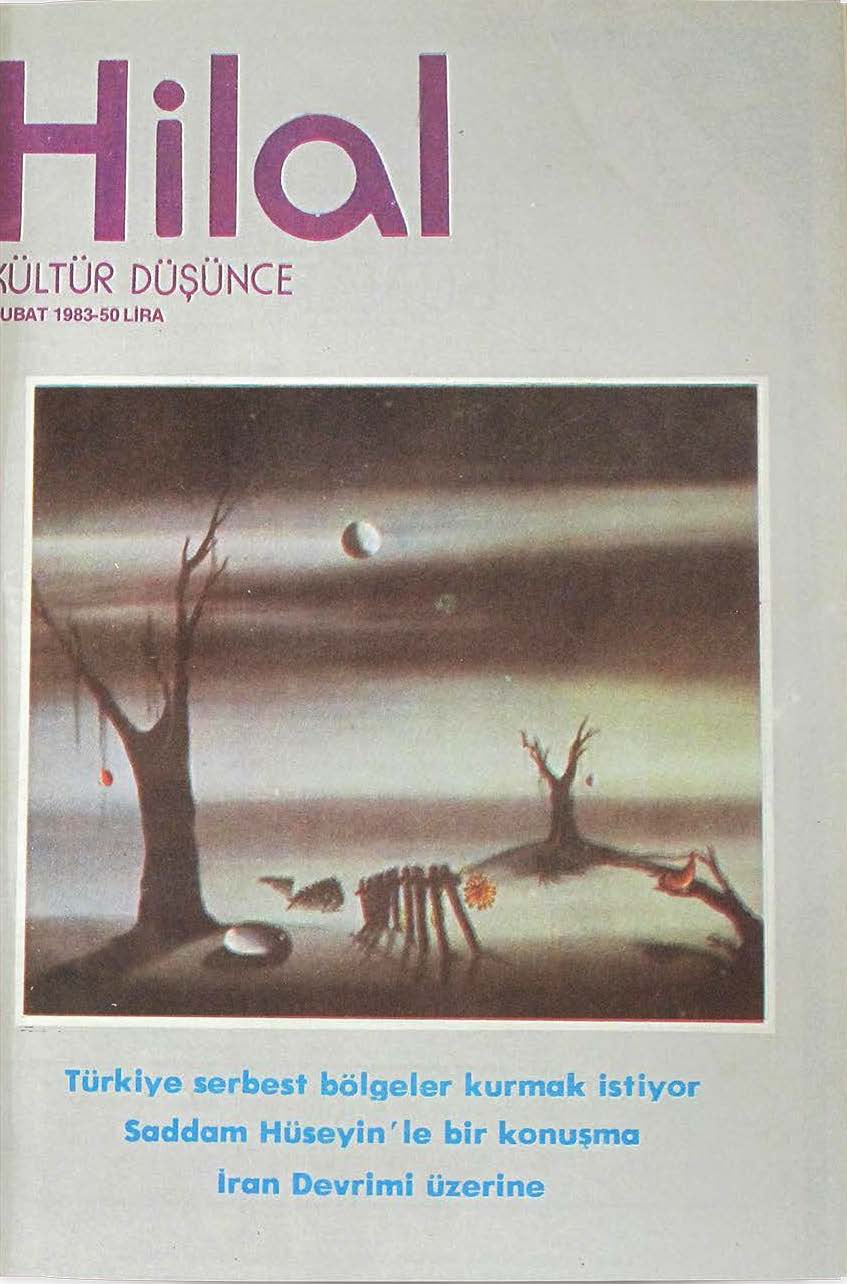 21. Cilt 241. Sayı Kapağı