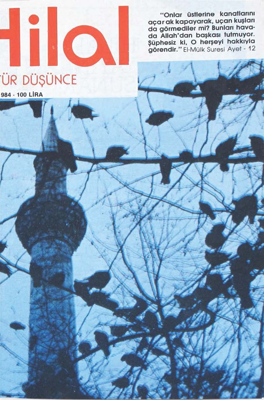 22. Cilt 255. Sayı Kapağı