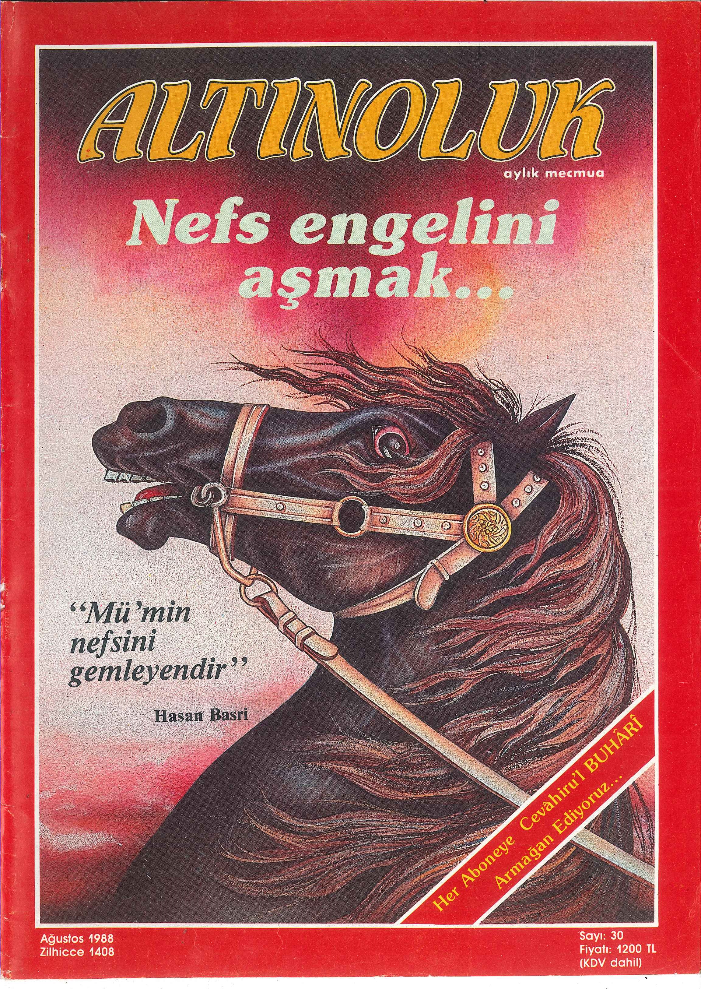 30. Sayı Kapağı