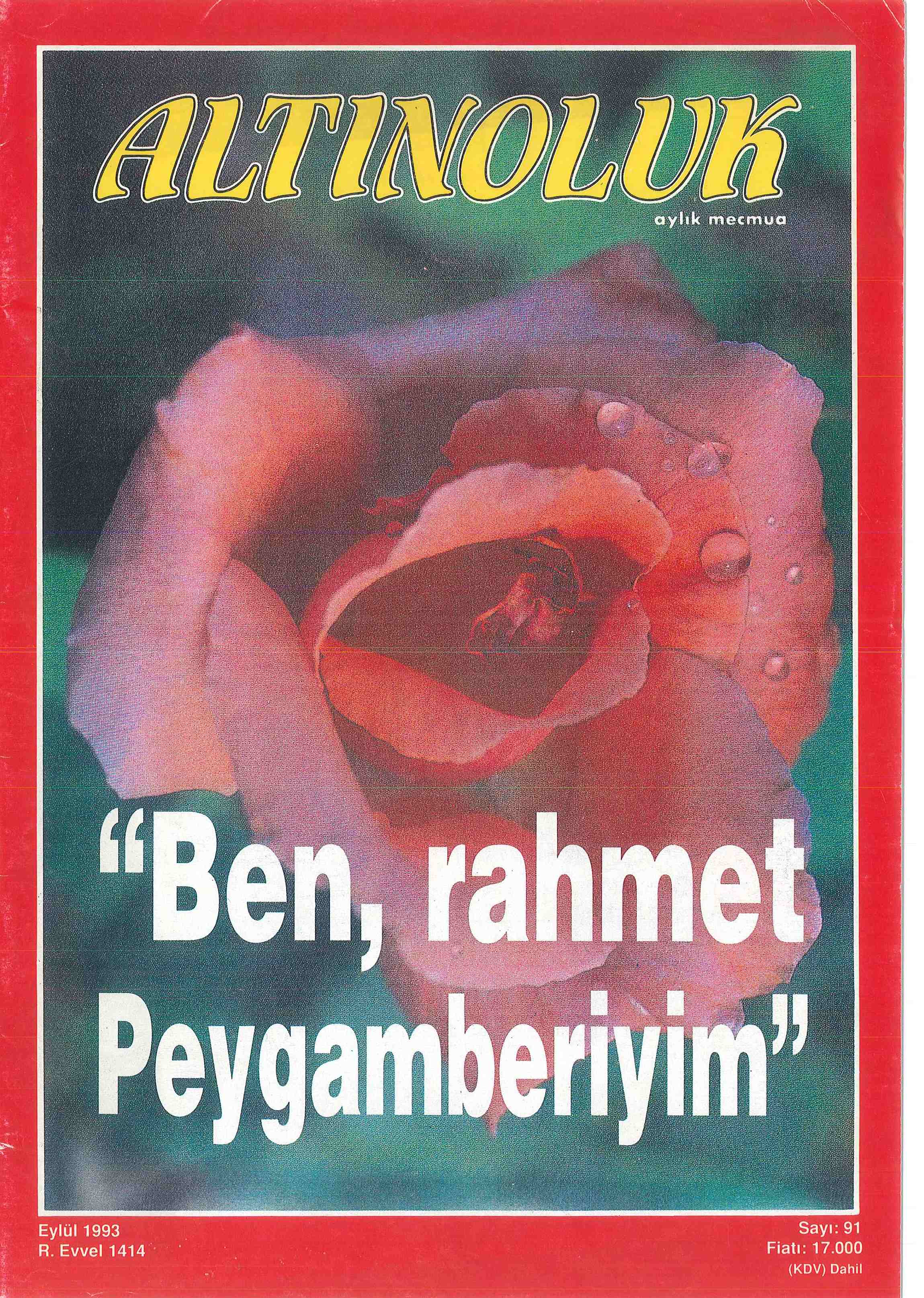 91. Sayı Kapağı