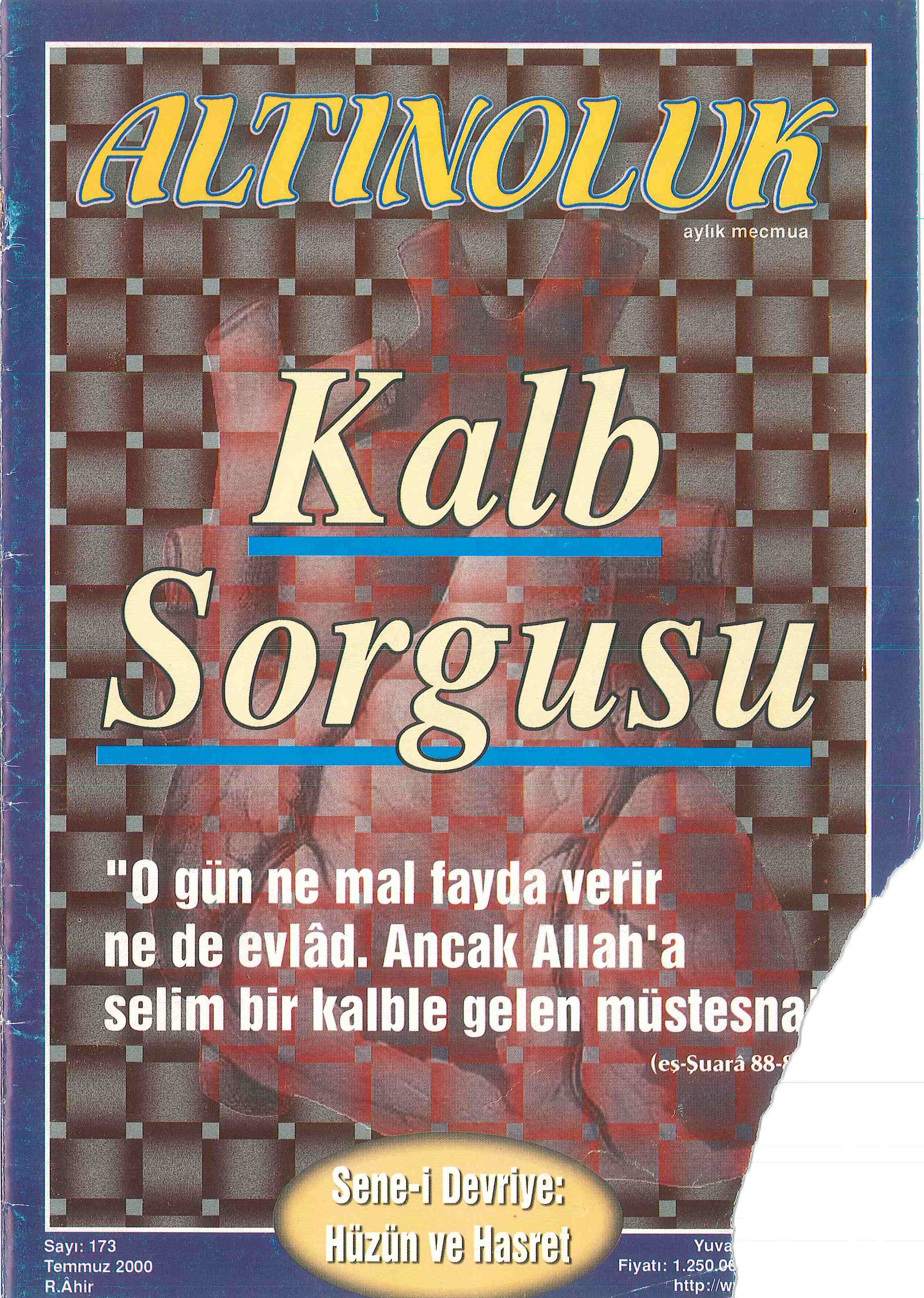 173. Sayı Kapağı