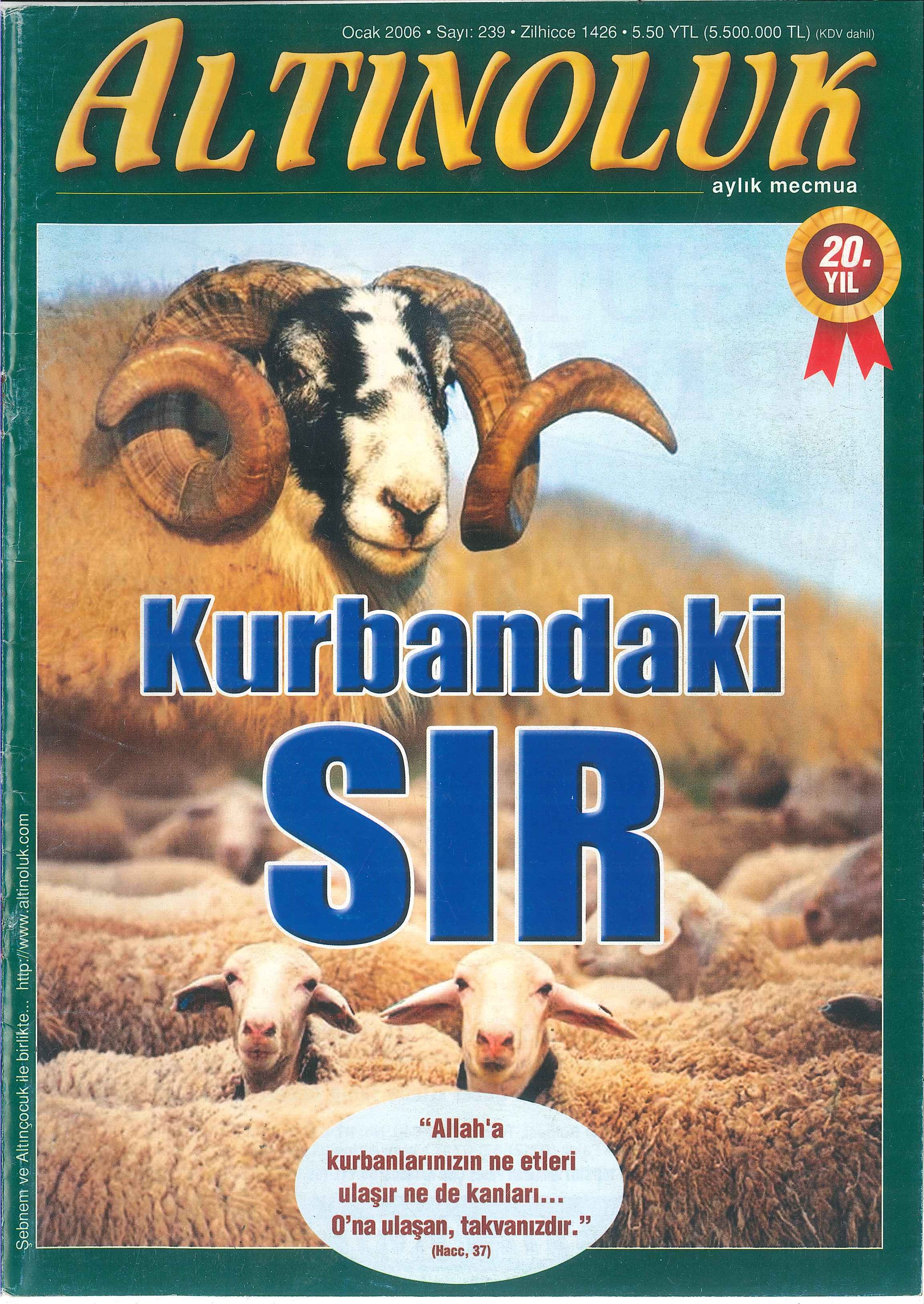 239. Sayı Kapağı