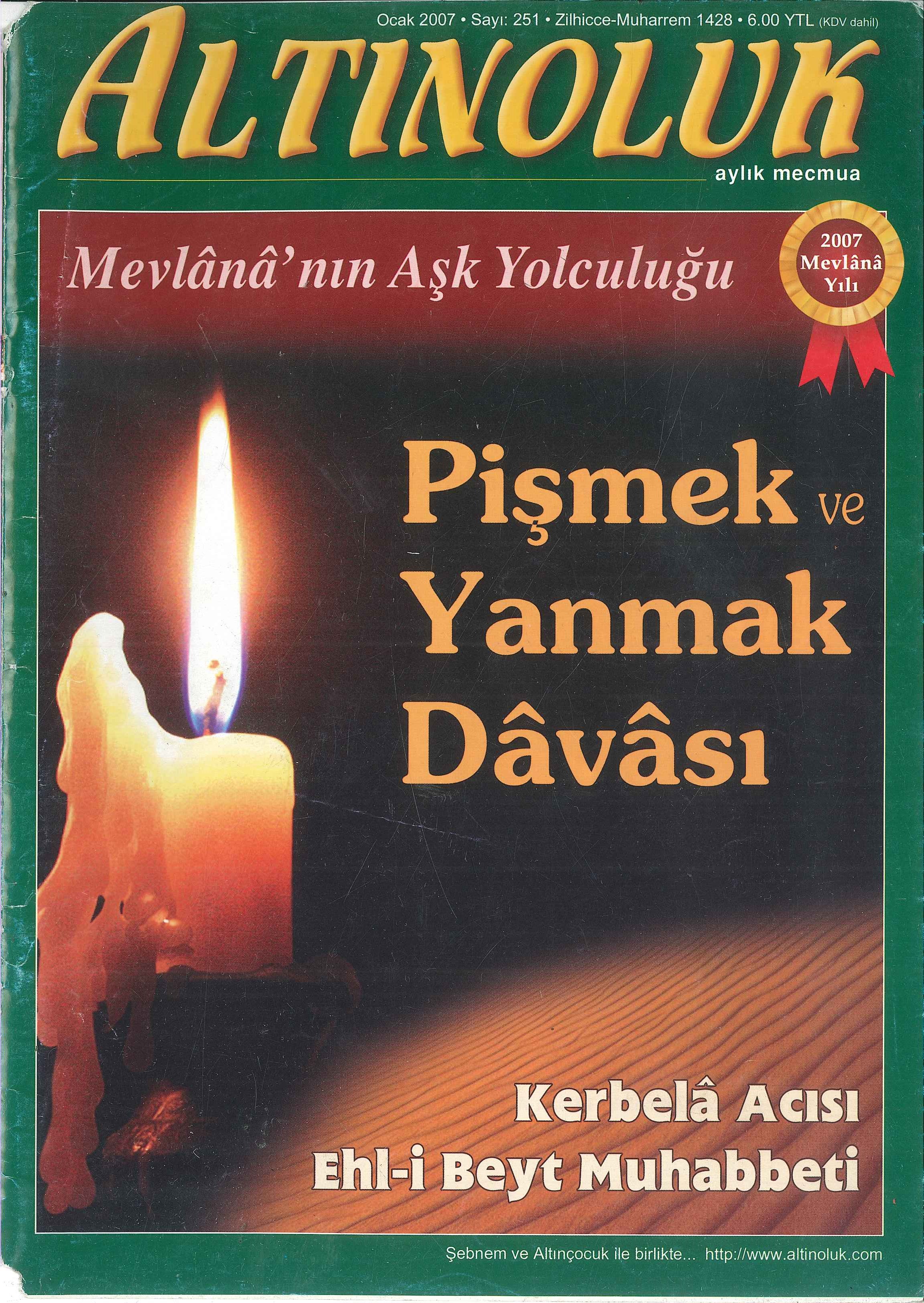 251. Sayı Kapağı