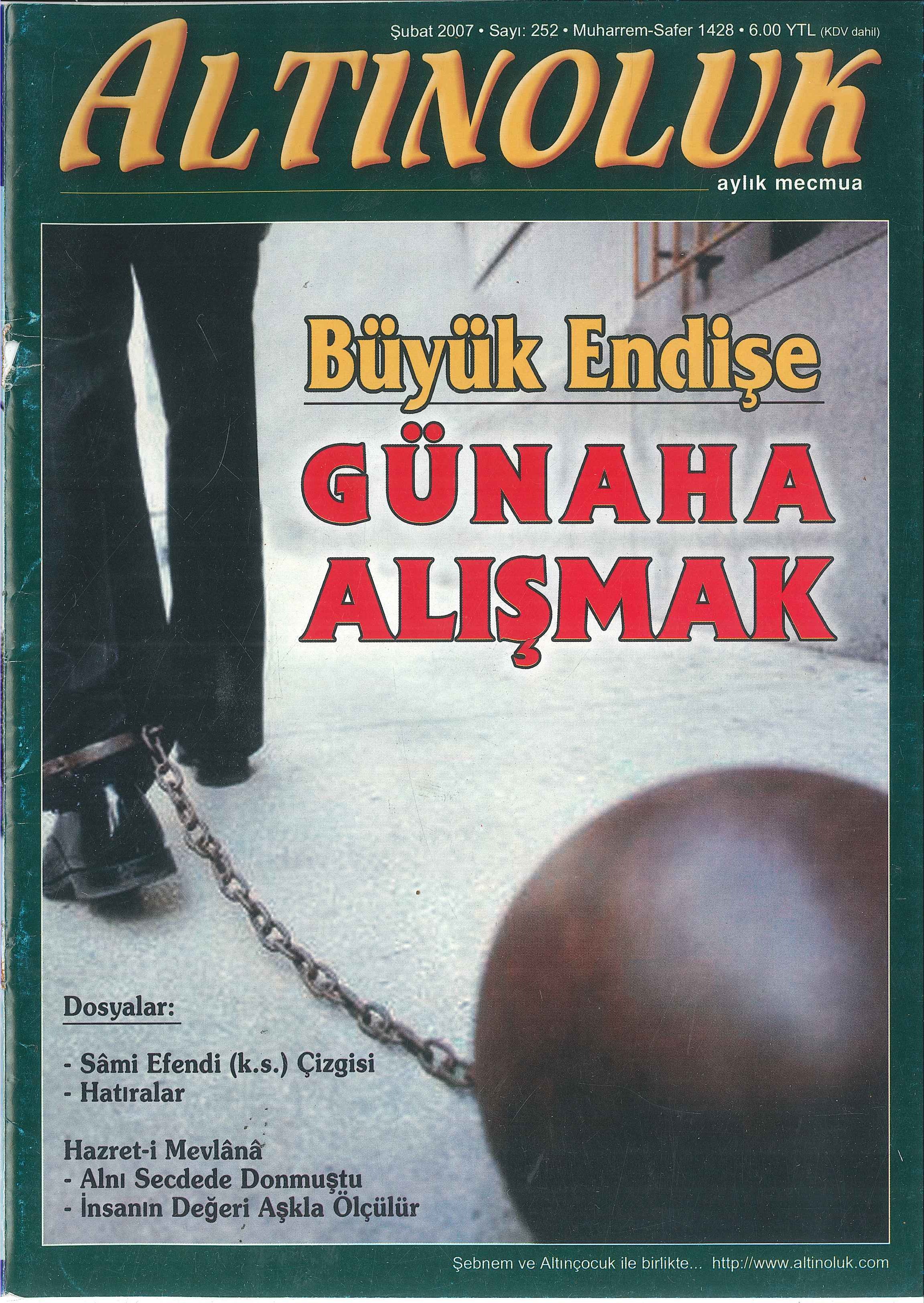252. Sayı Kapağı