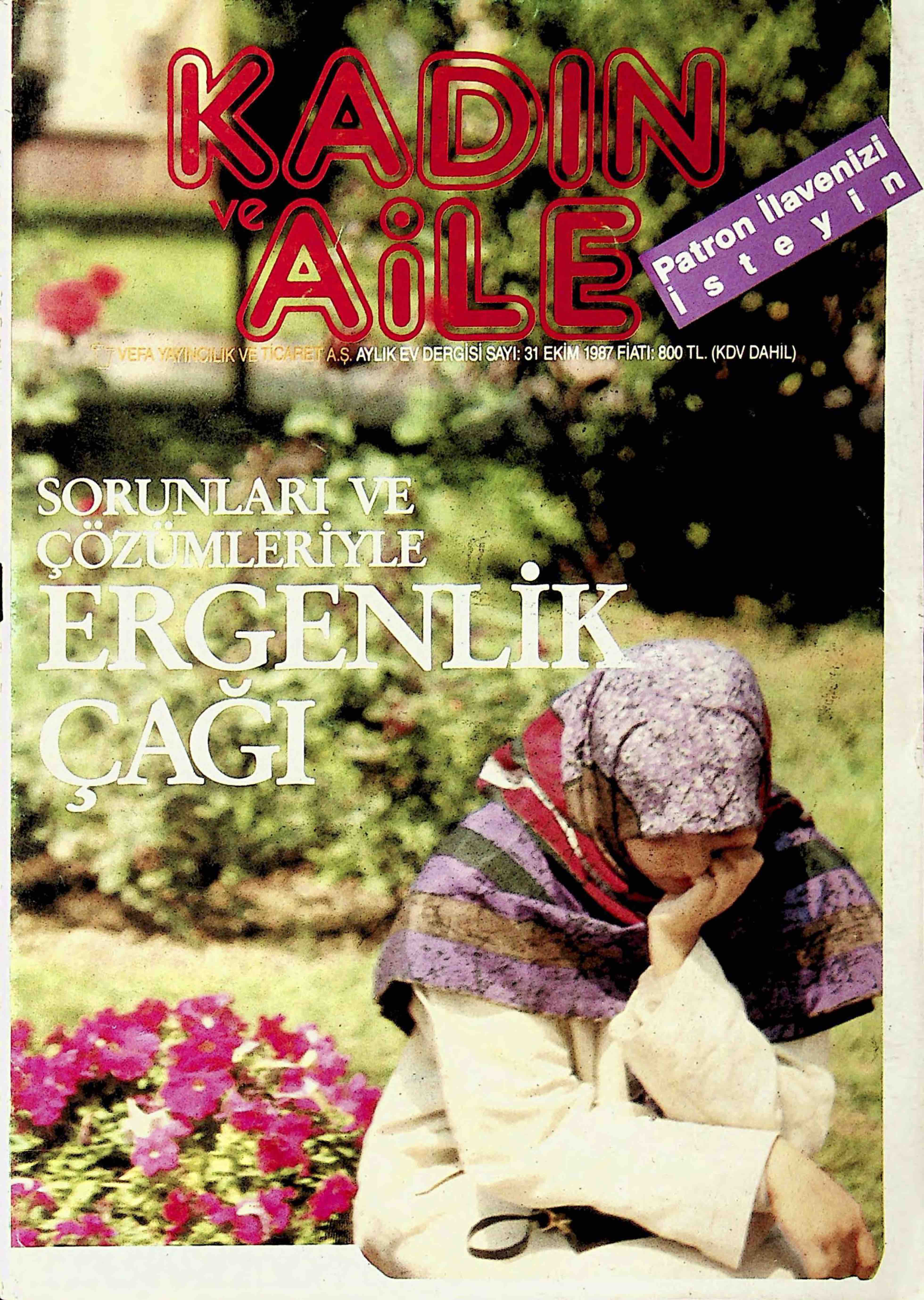 31. Sayı Kapağı