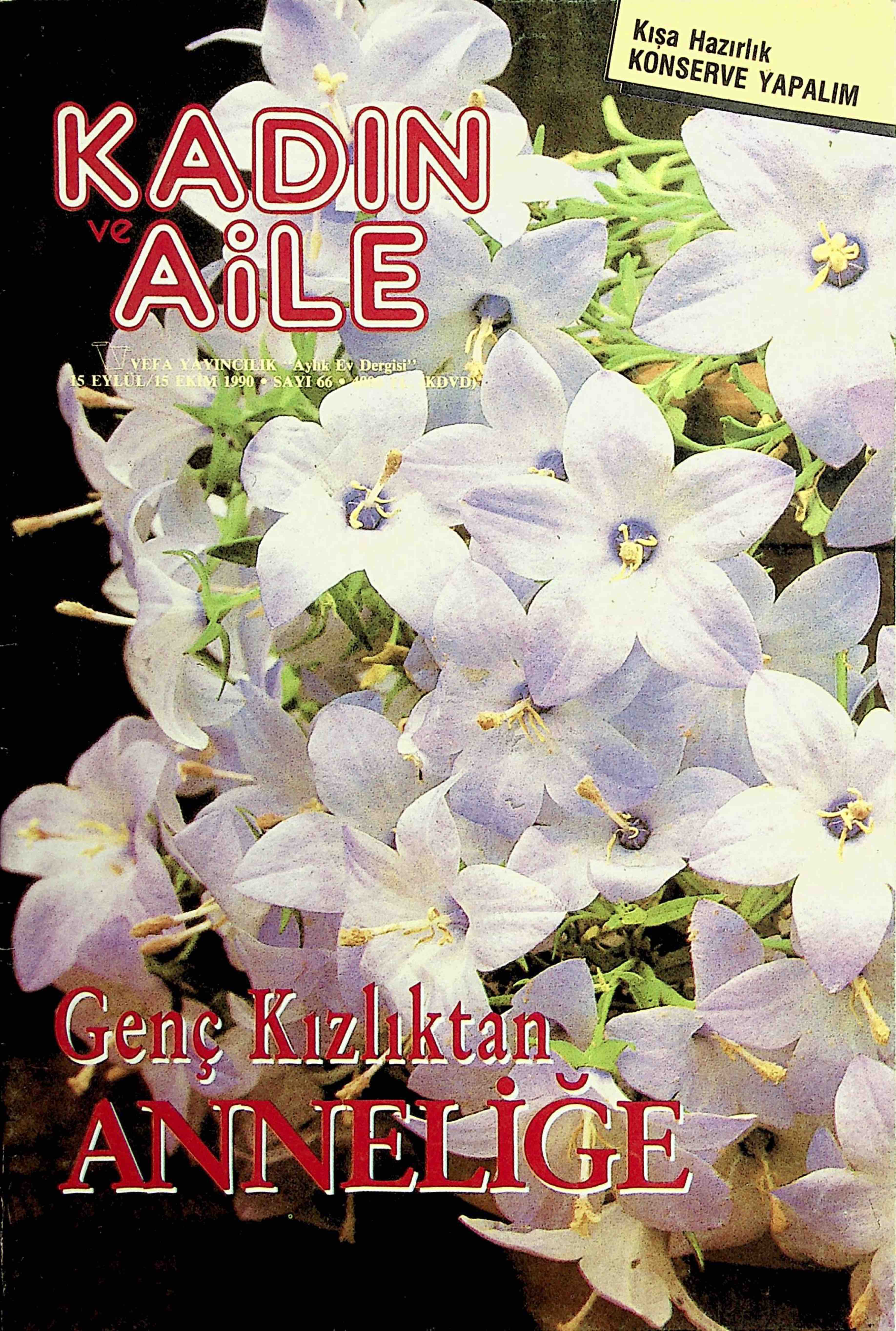 66. Sayı Kapağı