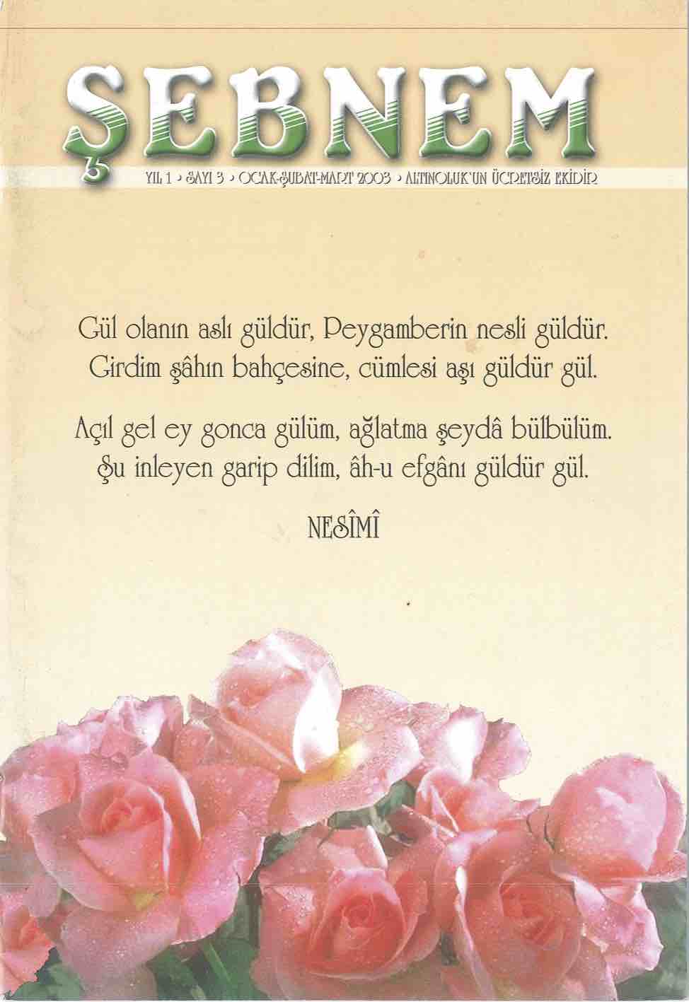 3. Sayı Kapağı