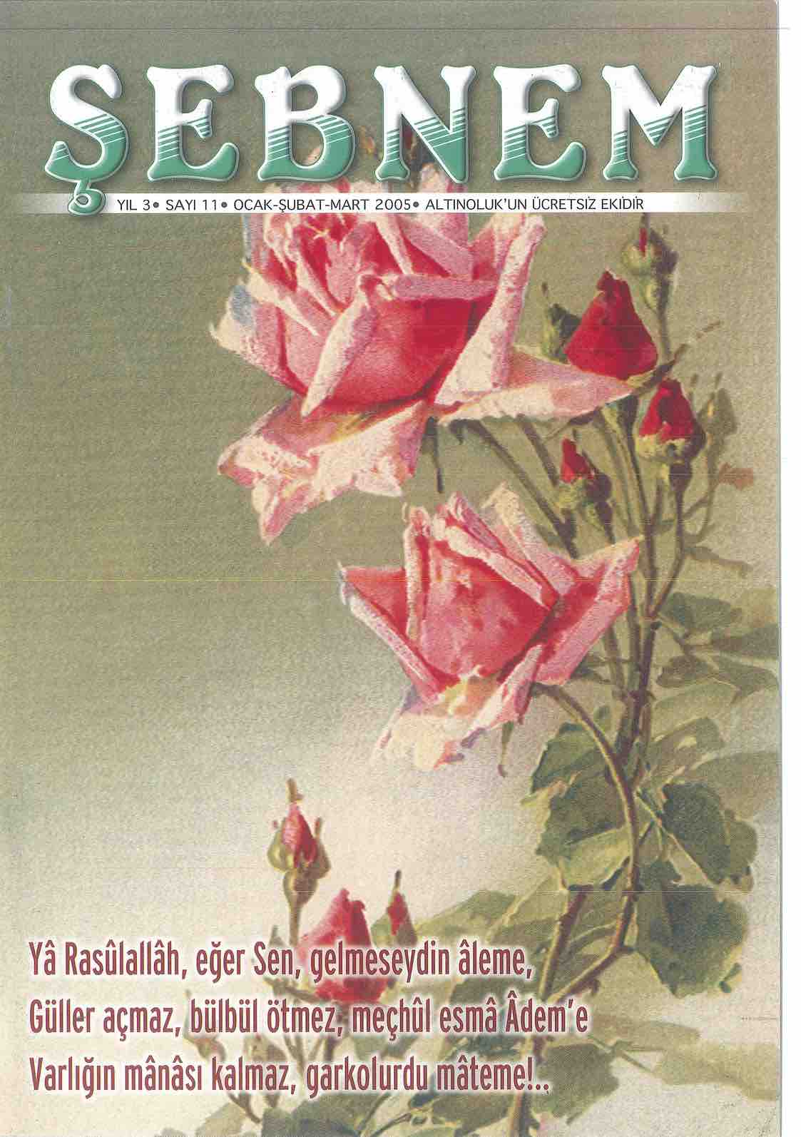 11. Sayı Kapağı