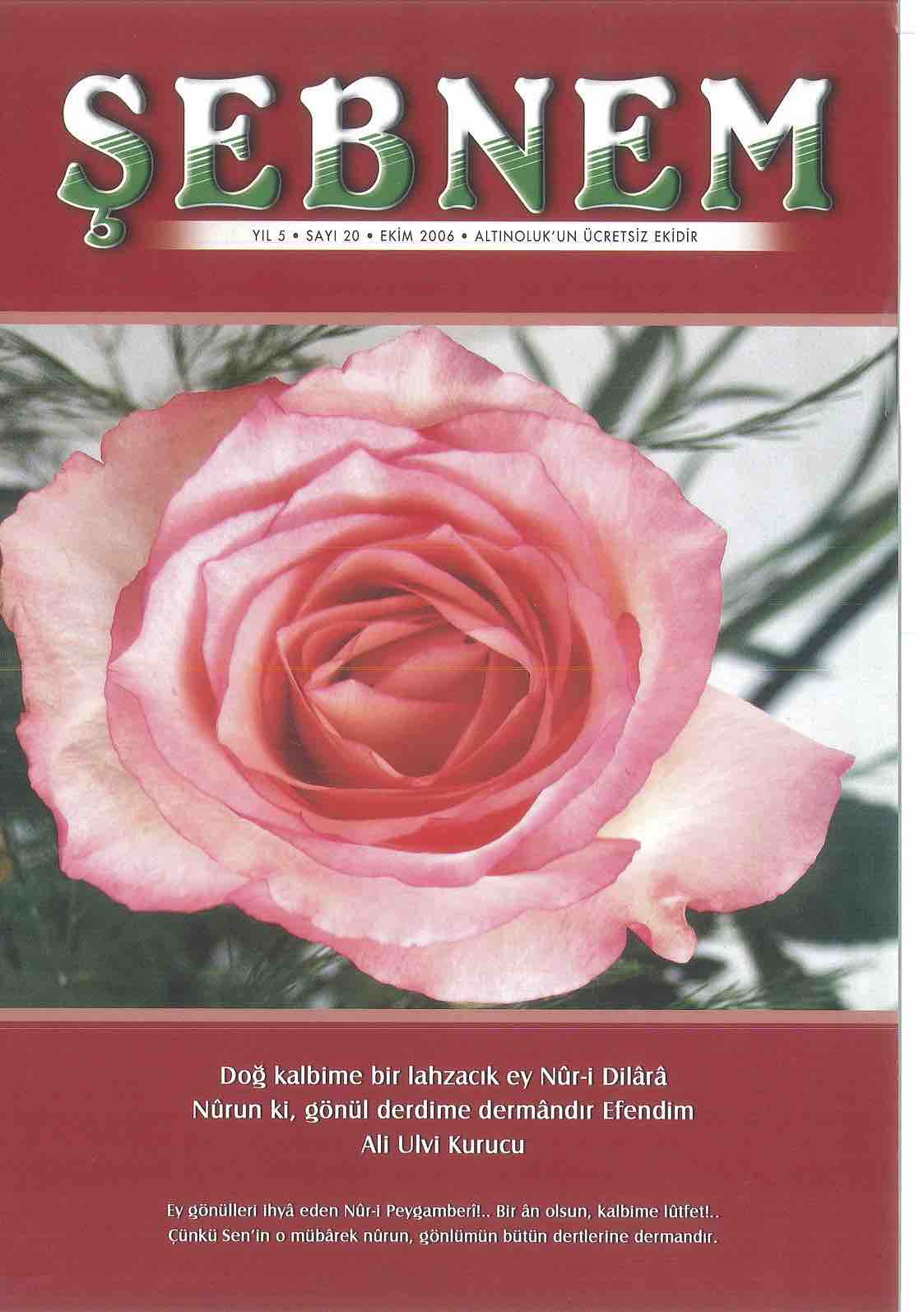 20. Sayı Kapağı