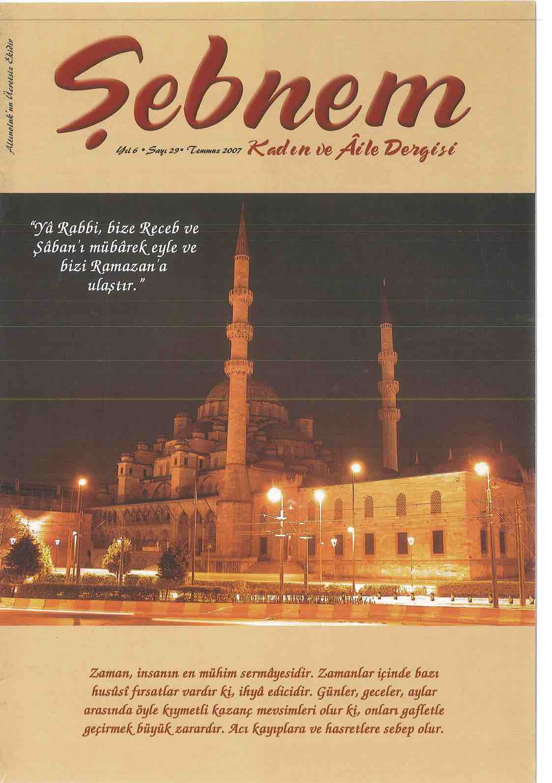 29. Sayı Kapağı