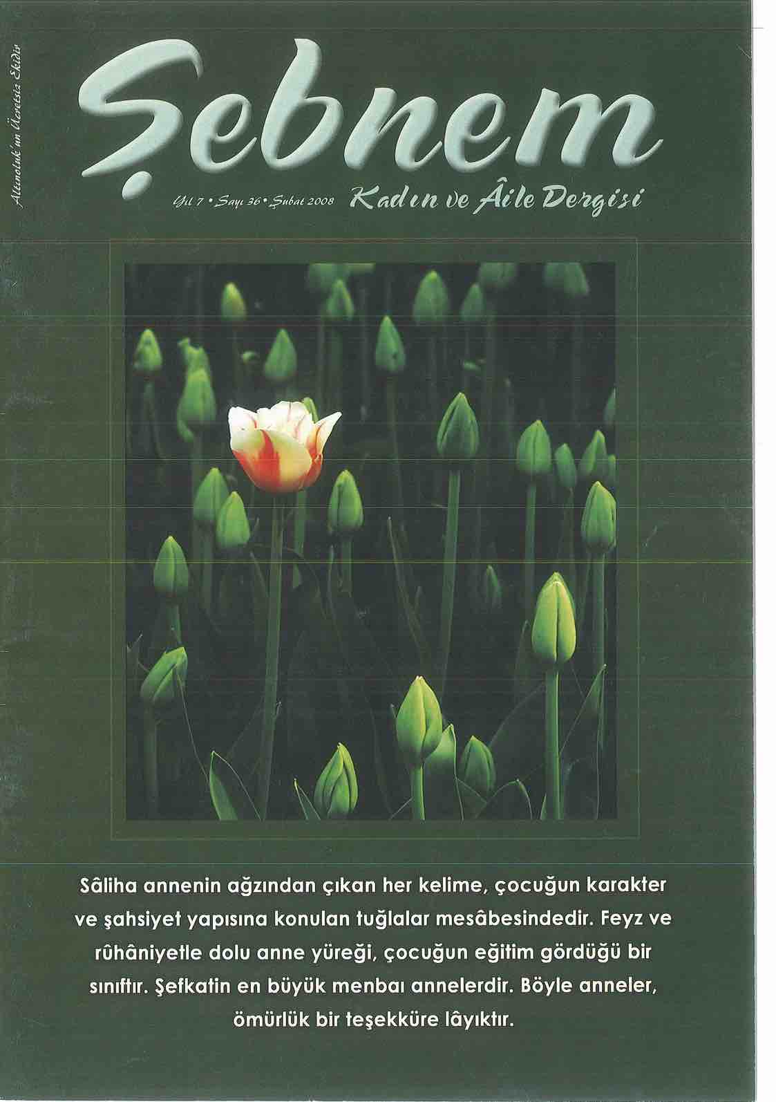 36. Sayı Kapağı