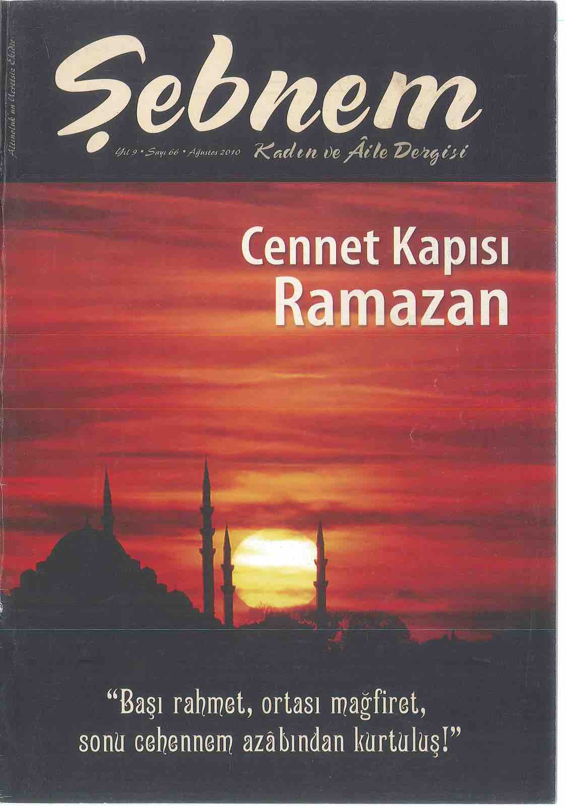 66. Sayı Kapağı
