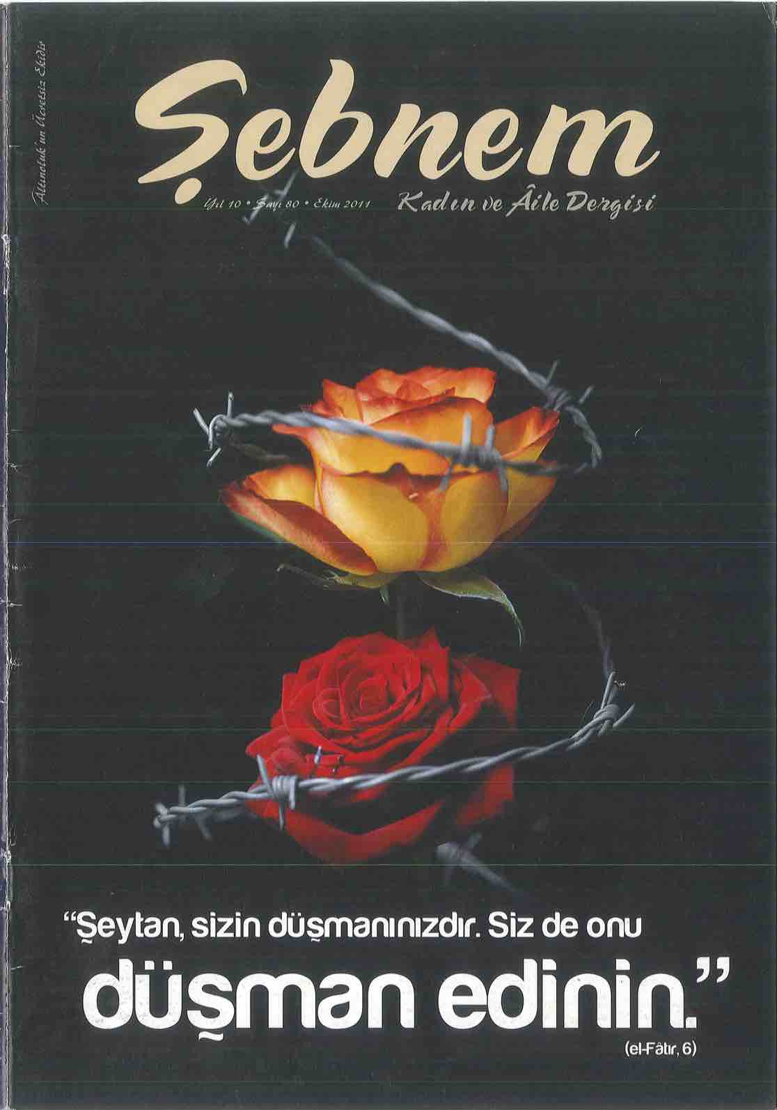 80. Sayı Kapağı