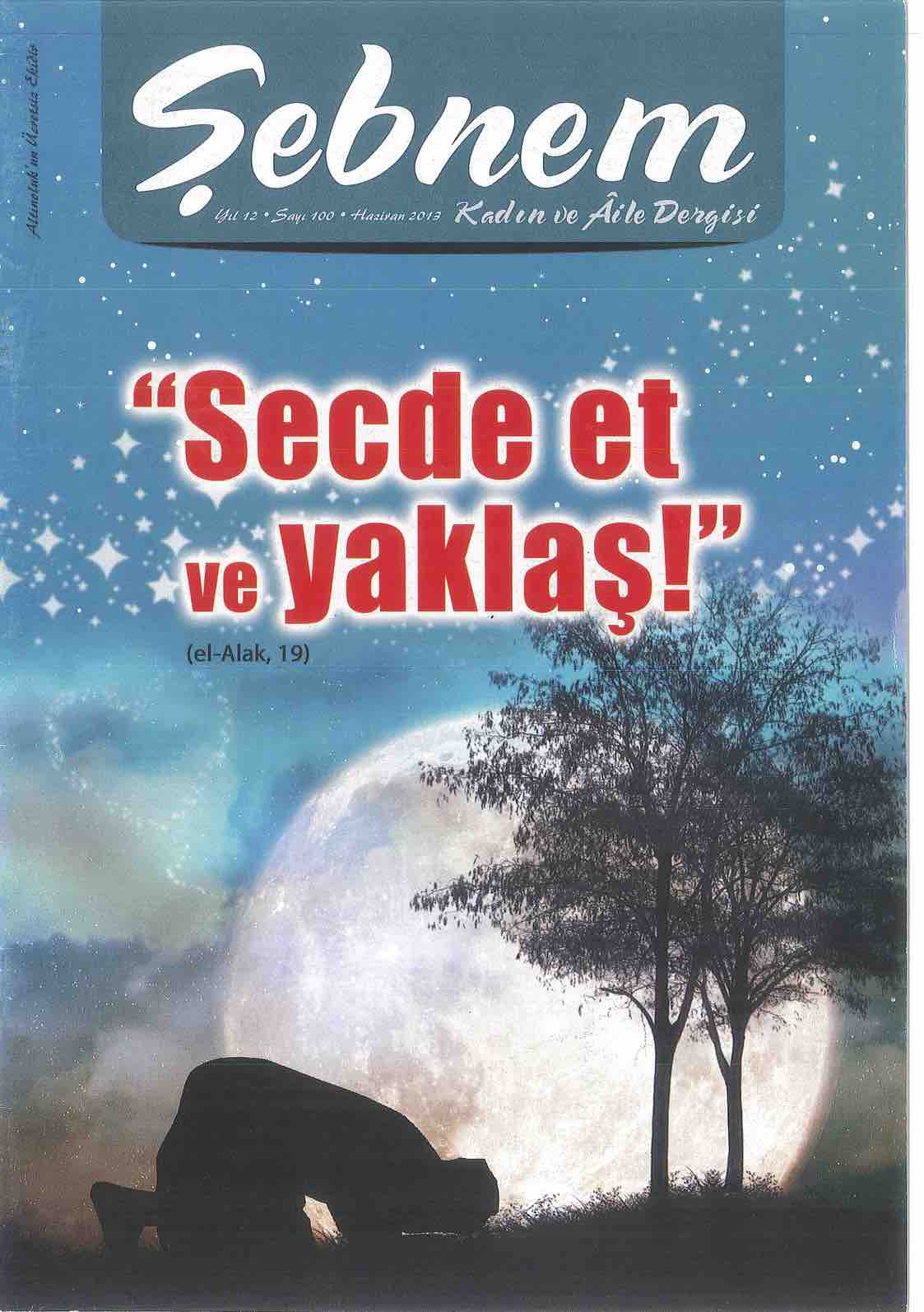 100. Sayı Kapağı