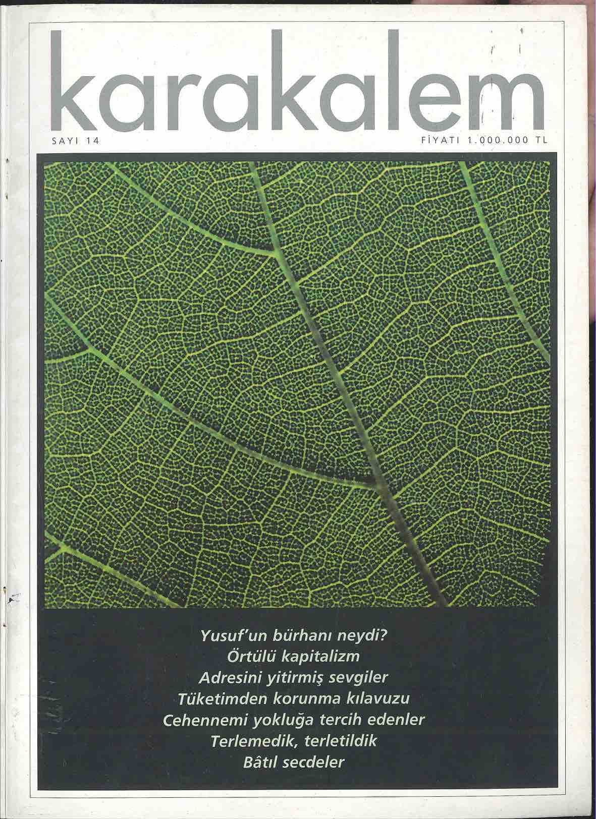 1999. Cilt 1. Sayı Kapağı