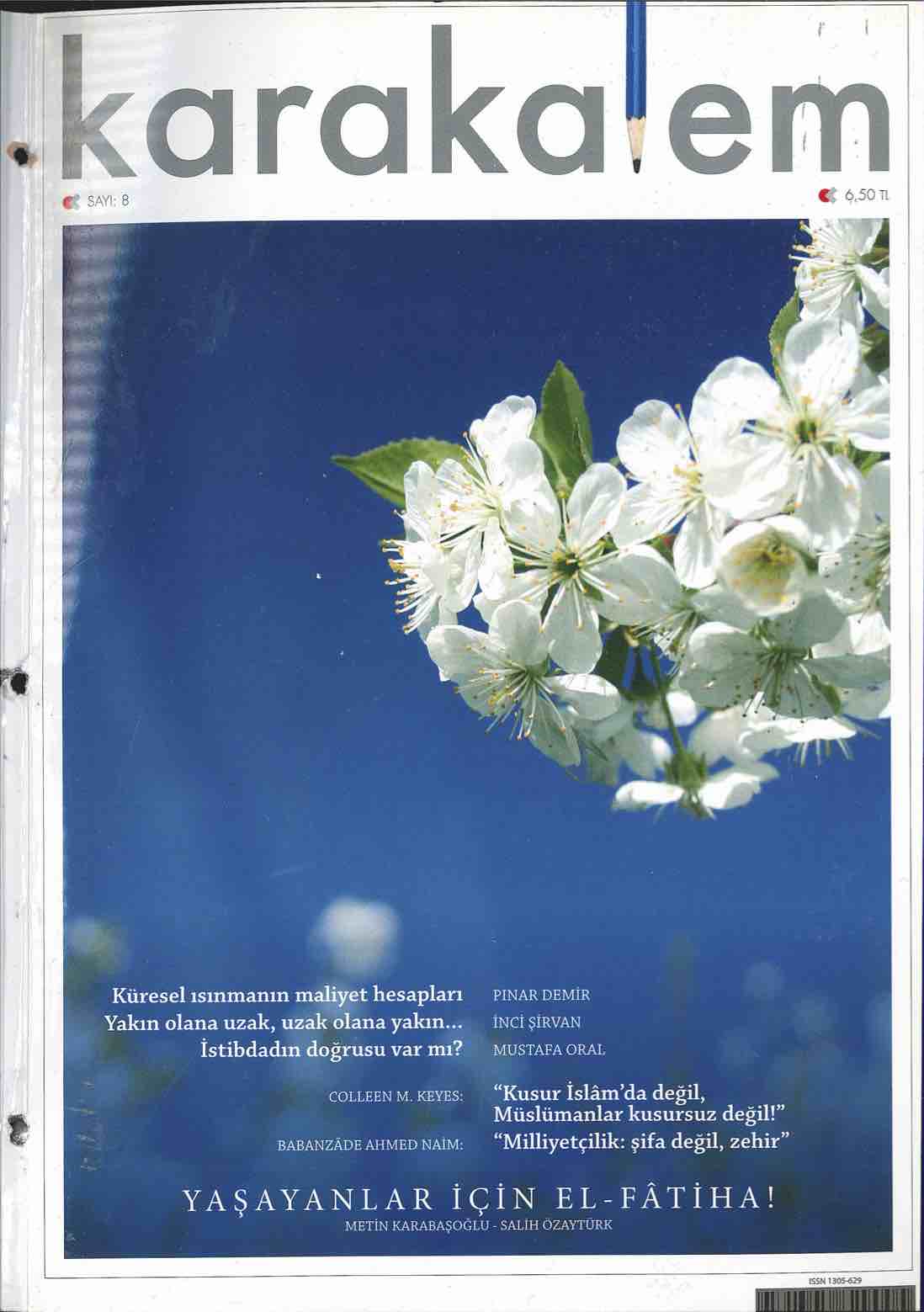 2005. Cilt 8. Sayı Kapağı